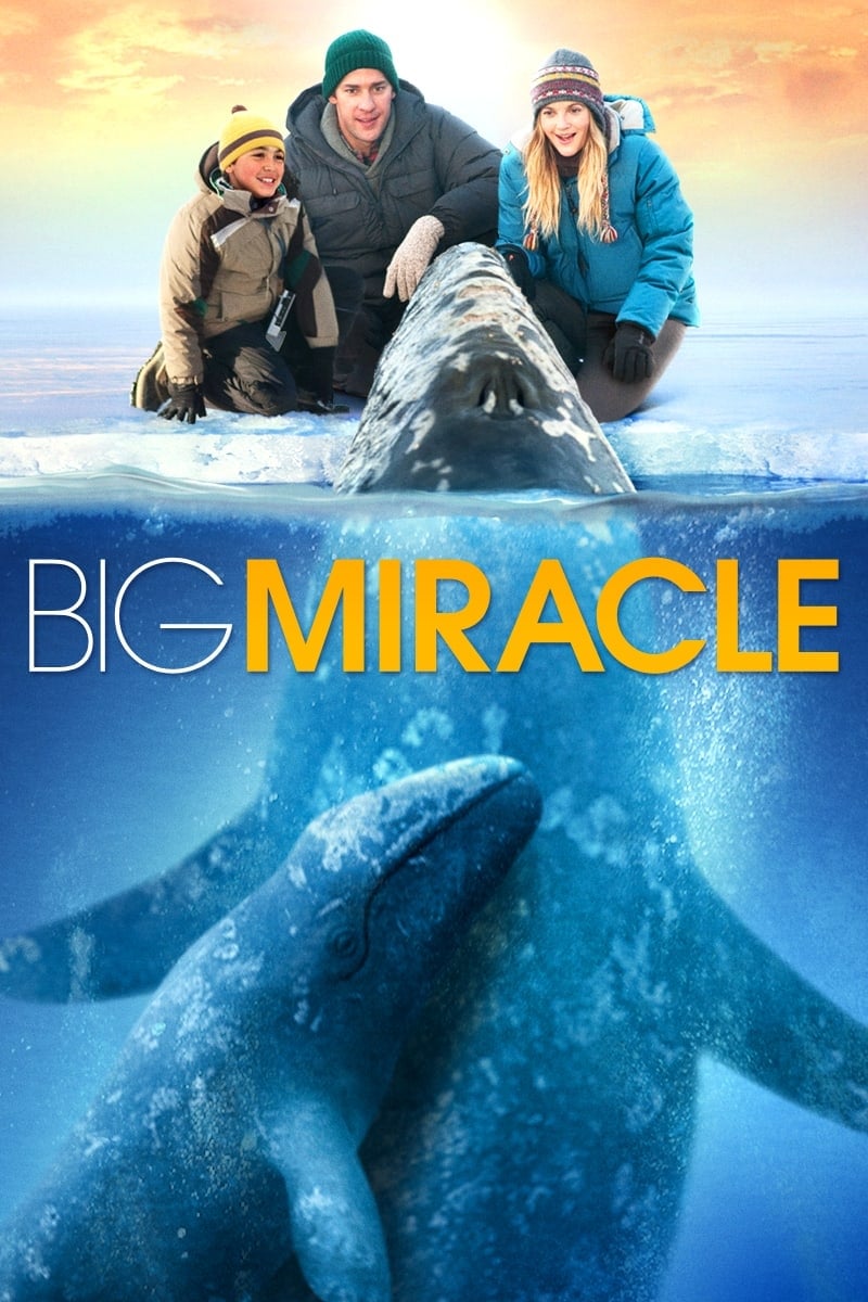 Big Miracle (2012) REMUX 1080p Latino – CMHDD