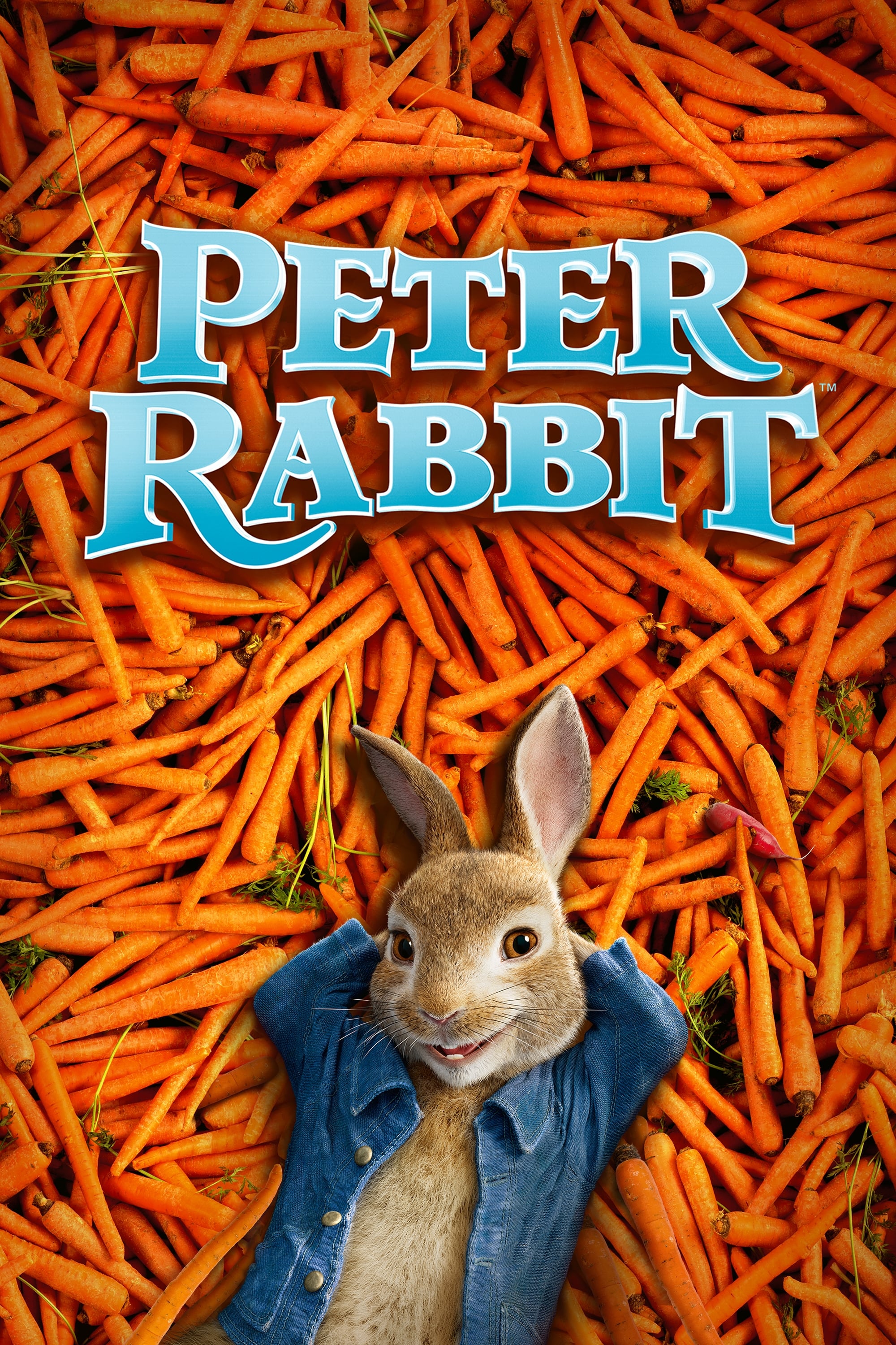 Las Travesuras De Peter Rabbit (2018) REMUX 1080p Latino
