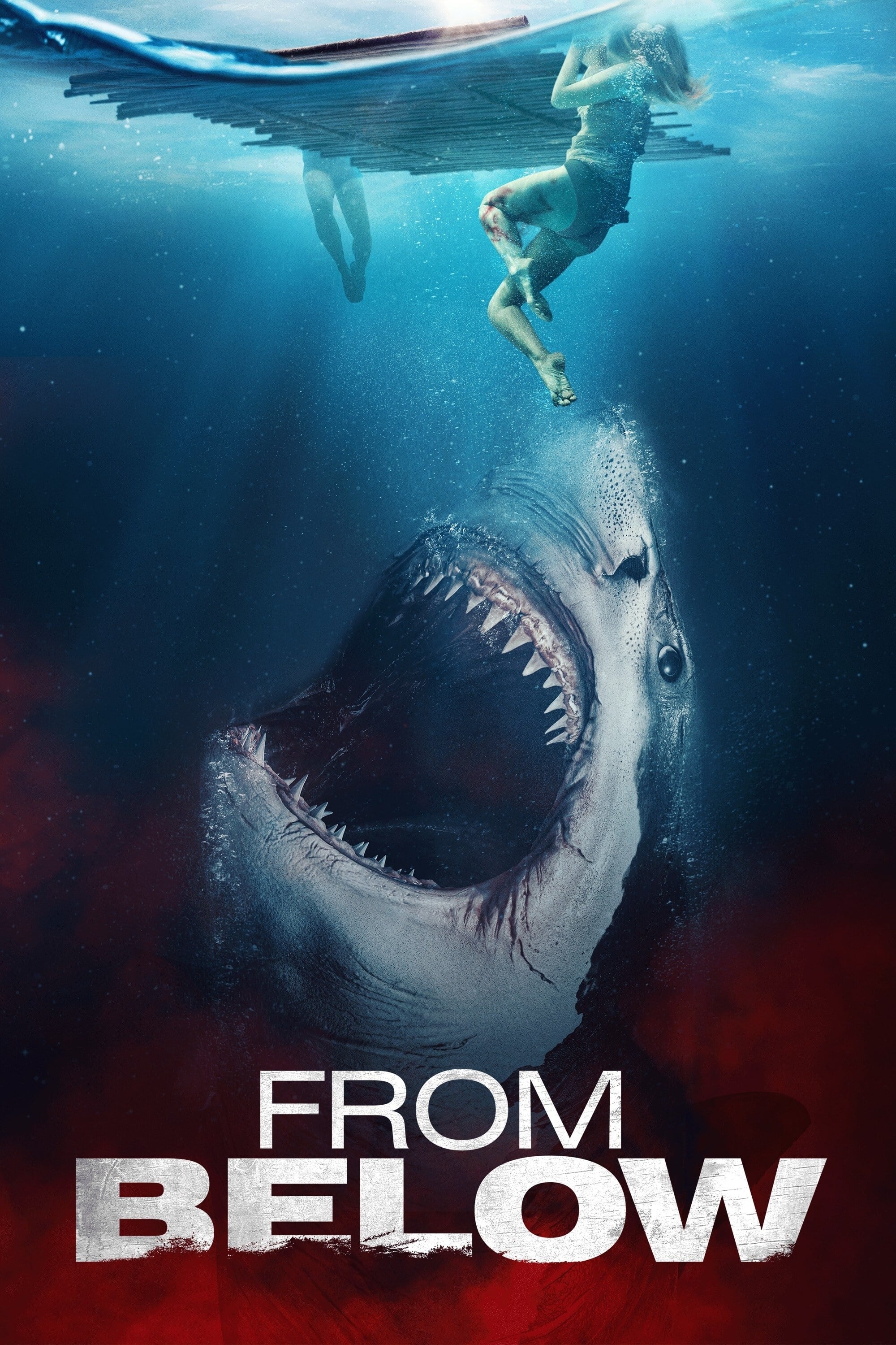 The Requin (2022) - Posters — The Movie Database (TMDB)