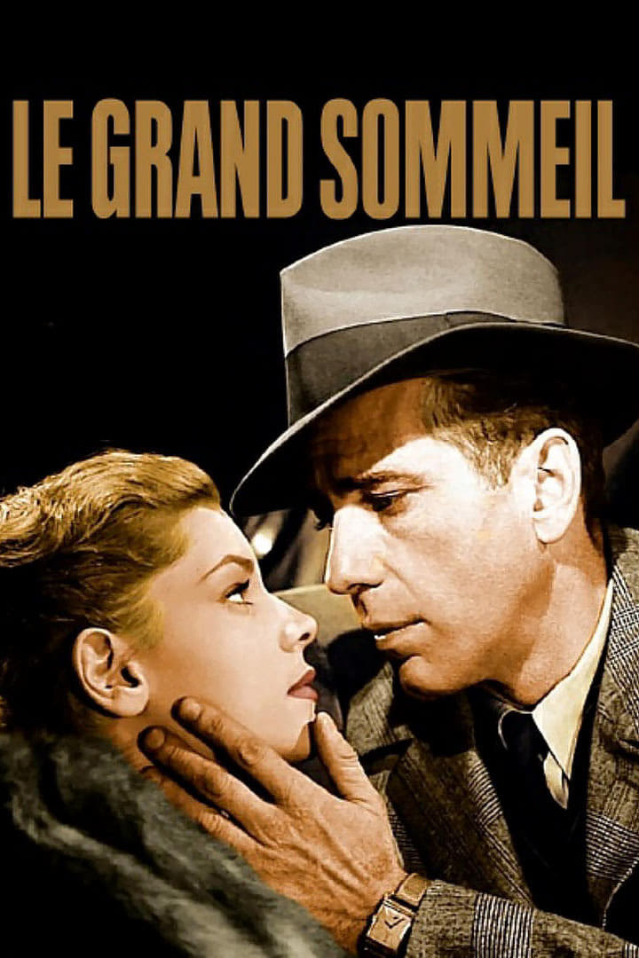 Le Grand Sommeil Film Streaming