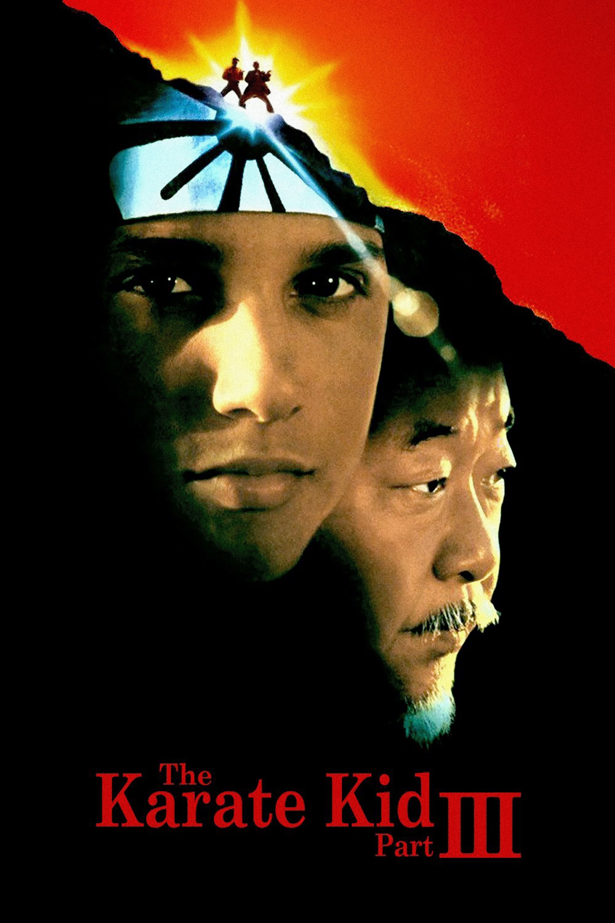 Download The Karate Kid Part III (1989) Dual Audio {Hindi-English} 720p [800MB]