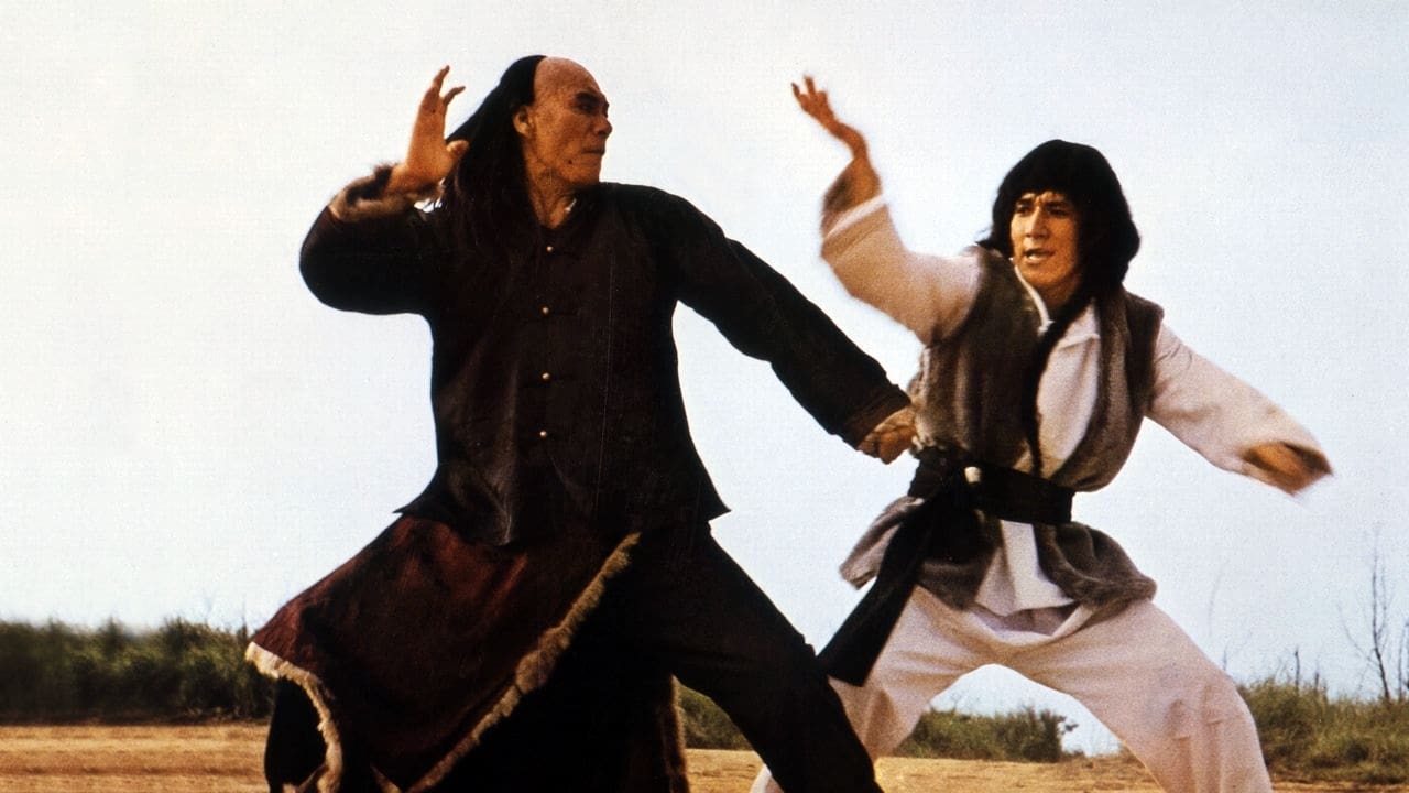 Snake and Crane Arts of Shaolin (1978) - Backdrops — The Movie Database (TMDB)