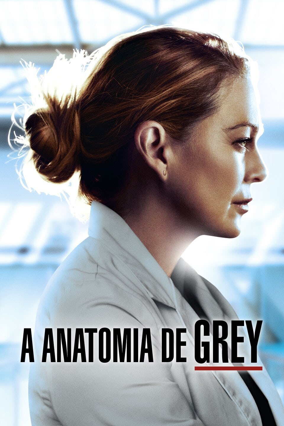 Imagem Greys Anatomy