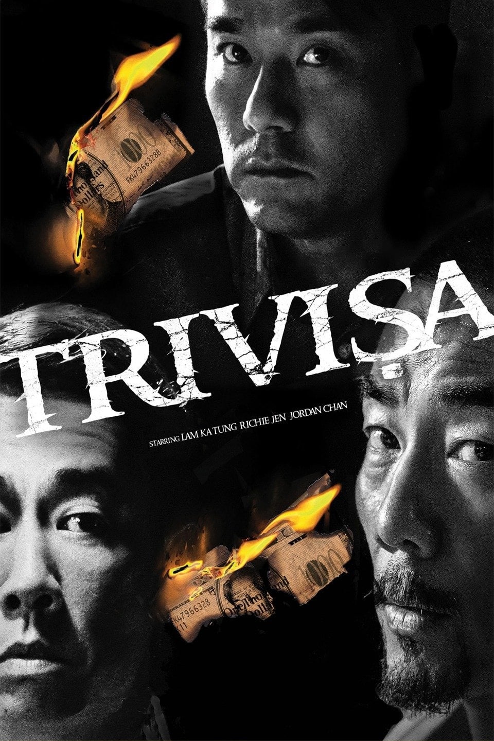 trivisa-2016-posters-the-movie-database-tmdb