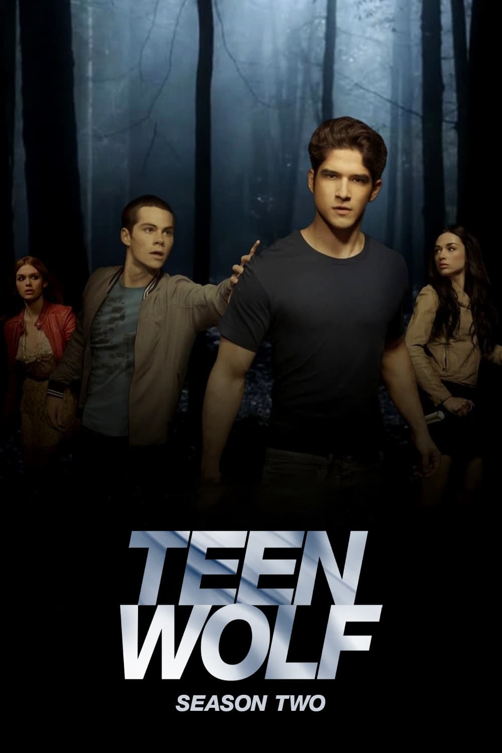 Teen Wolf (TV Series 2011-2017) - Posters — The Movie Database (TMDB)