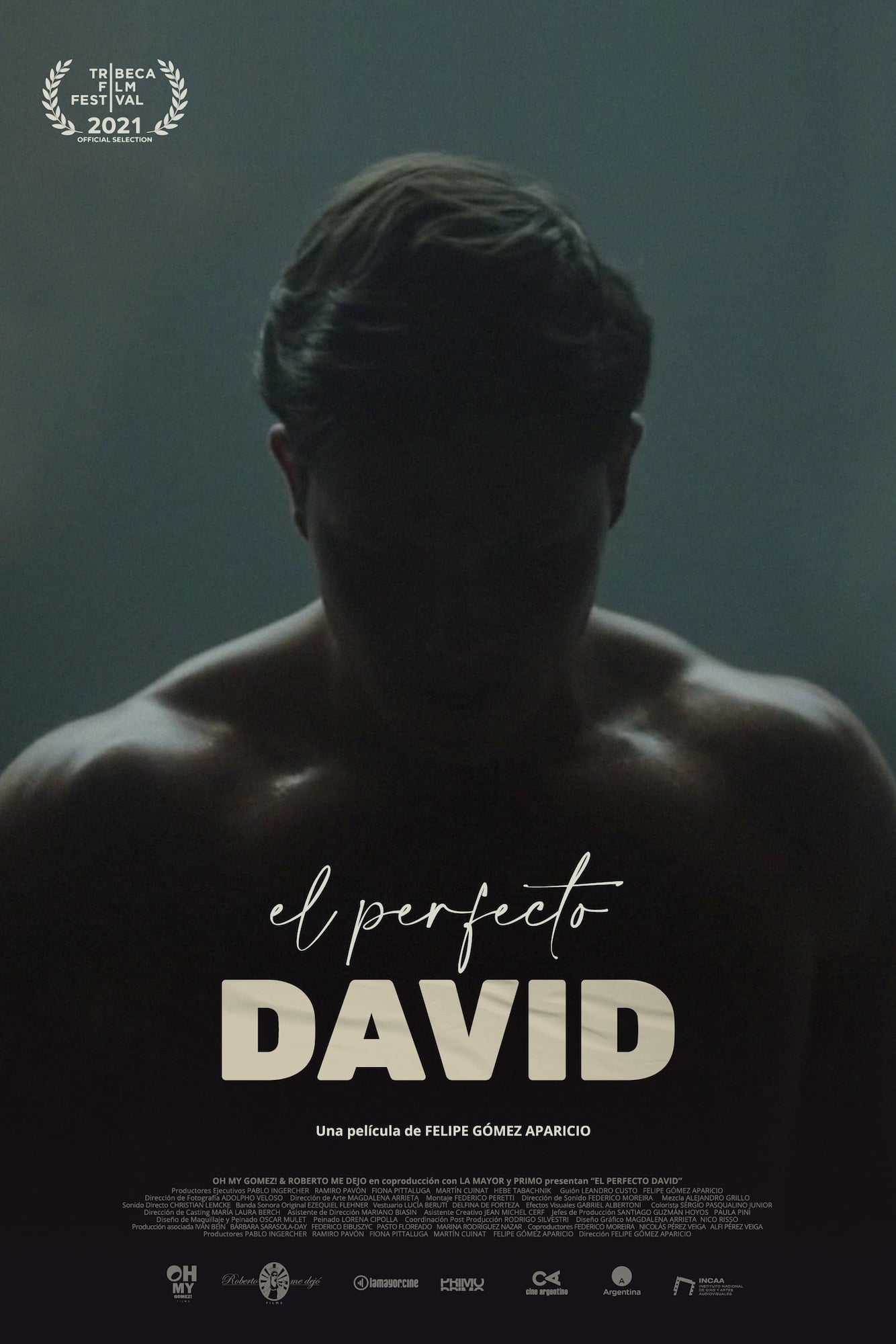 The Perfect David (2021) FULL MOVIE ONLINE