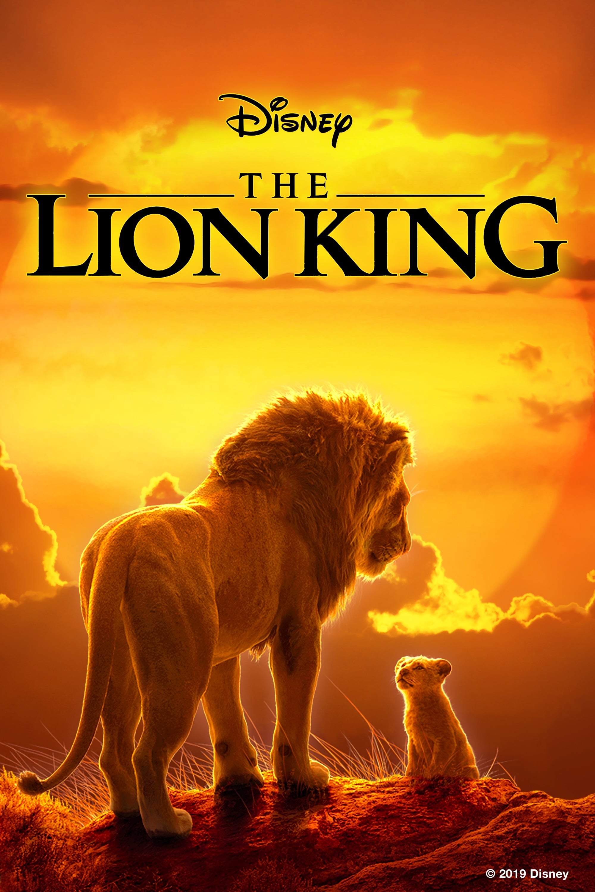 The Lion King 19 Posters The Movie Database Tmdb