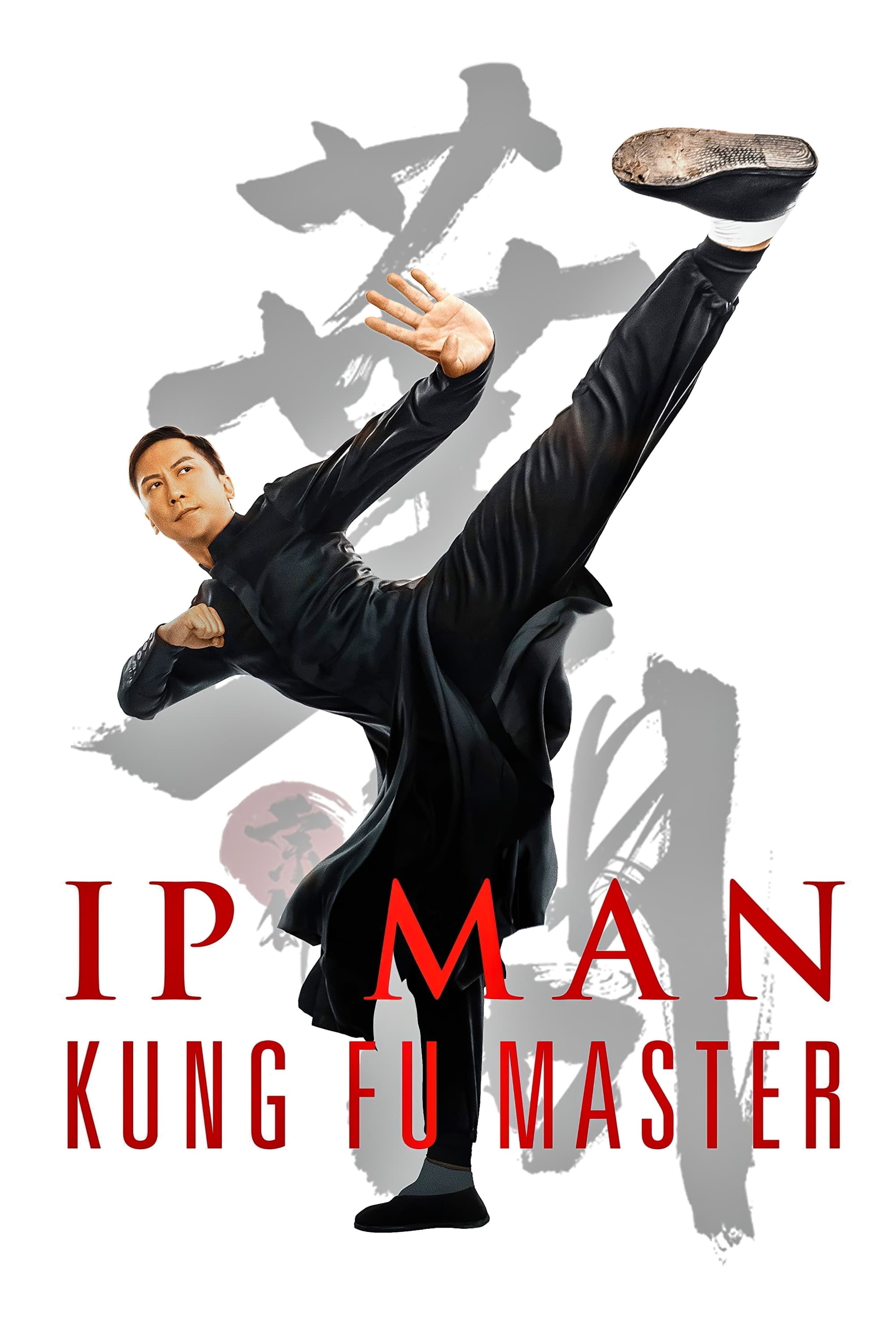 IP Man: El maestro del kung fu (2019) PLACEBO Full HD 1080p Latino