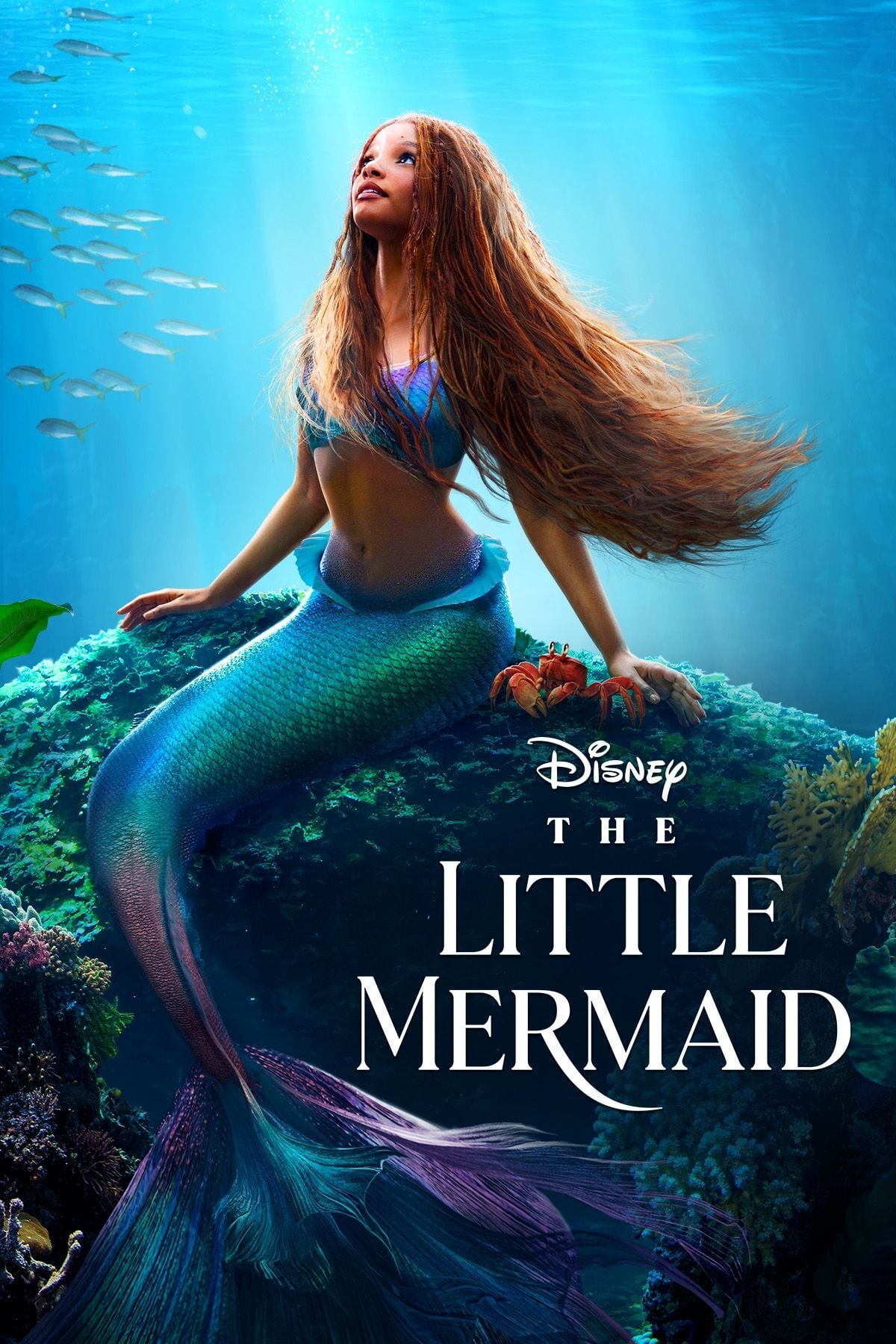 The Little Mermaid (2023) Posters — The Movie Database (TMDB)