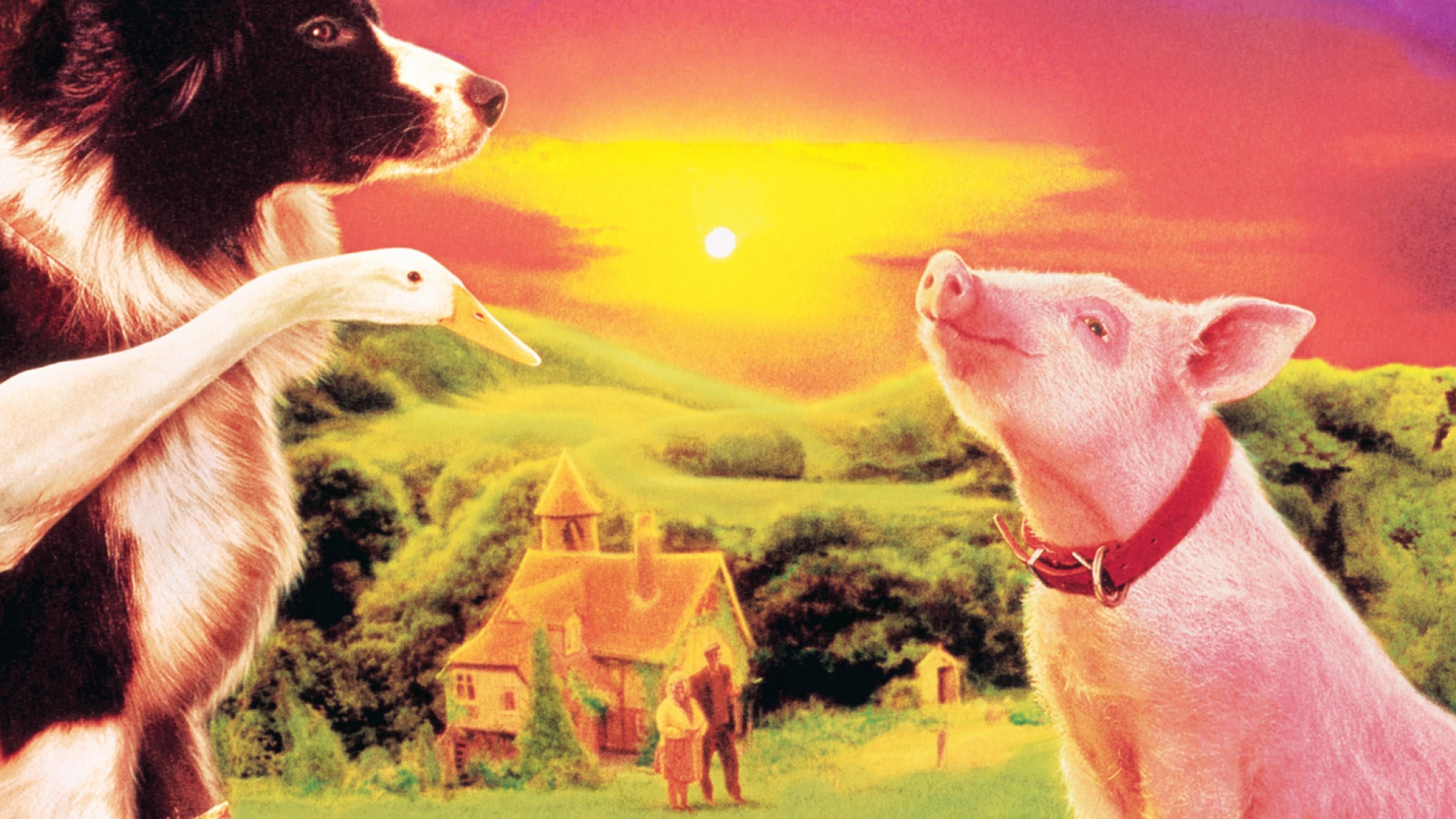 Babe - den kække gris (1995) - Kulisser — The (TMDB)