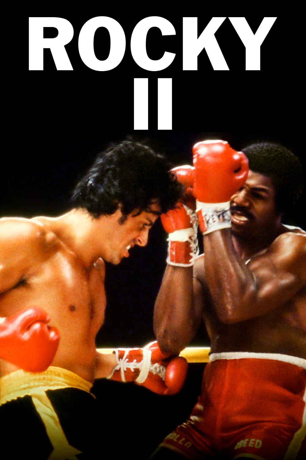Rocky II : La Revanche Film Streaming