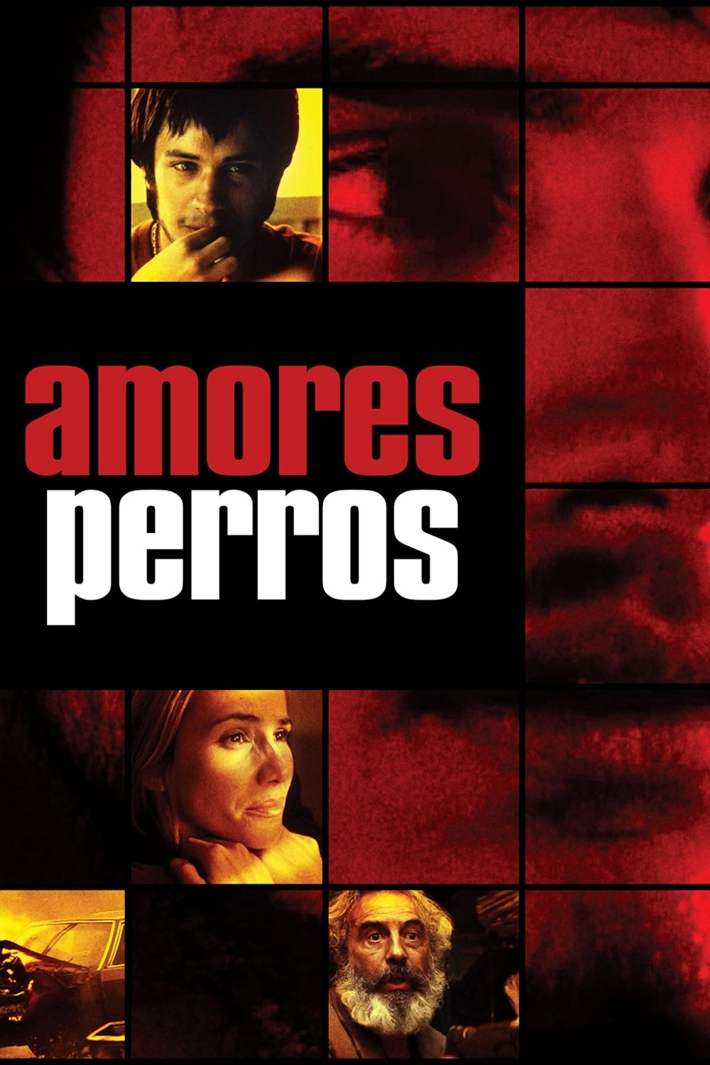 Amores perros (2000) Full HD 1080p Latino
