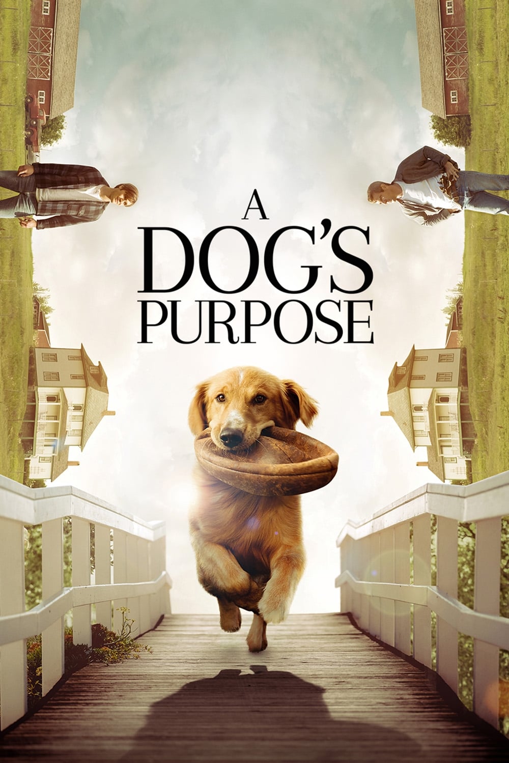 A Dog’s Purpose (2017) REMUX 1080p Latino – CMHDD