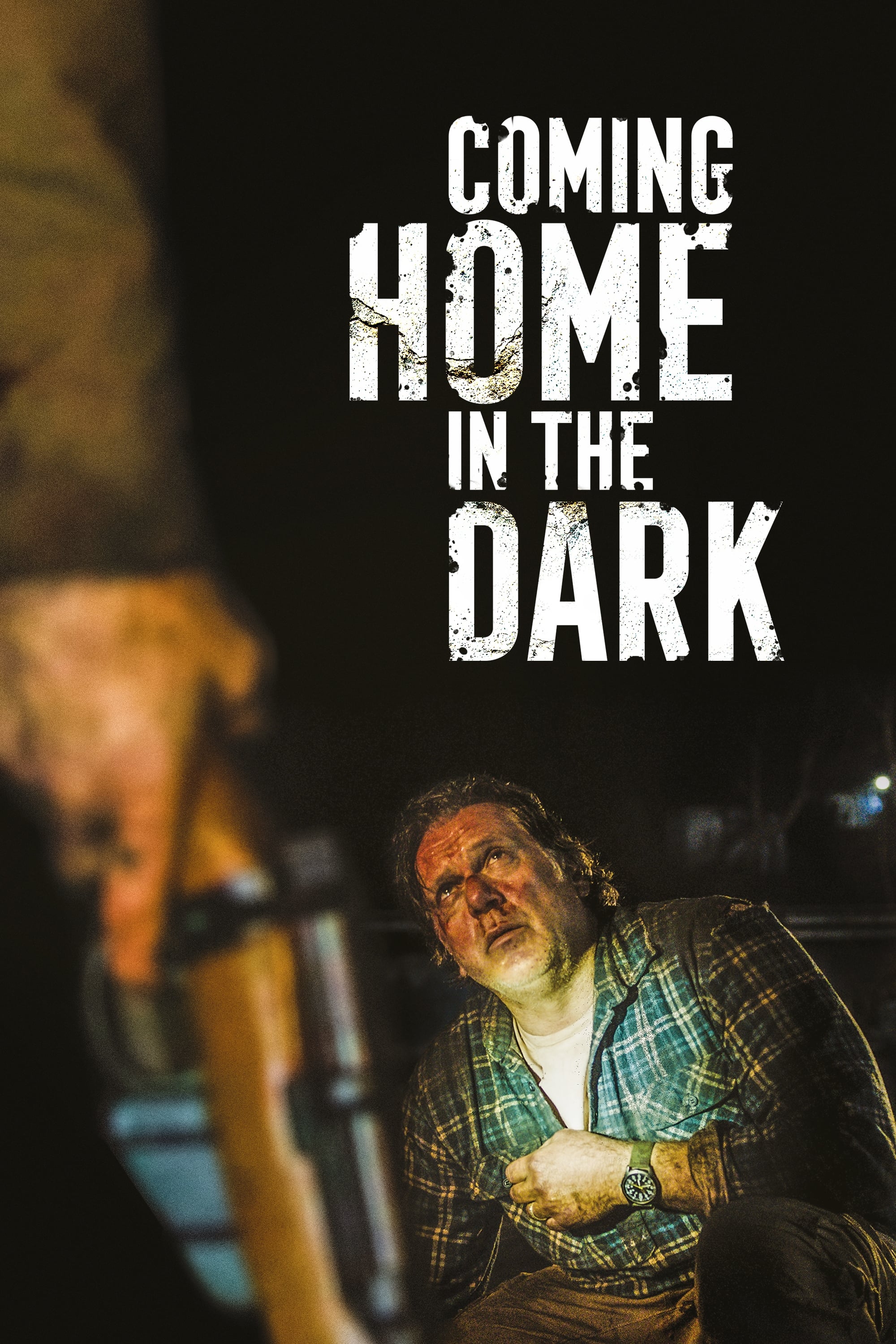 movie review coming home in the dark