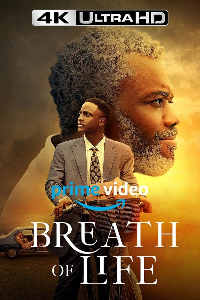 Timi, a gifted clergyman turns into an old lonely curmudgeon when his family is tragically taken from him. Until Elijah, a humble man with big dreams of becoming a priest, comes into his life. Through Elijah, Timi not only learns to live again, but also realizes purpose for all his gifts and wealth.