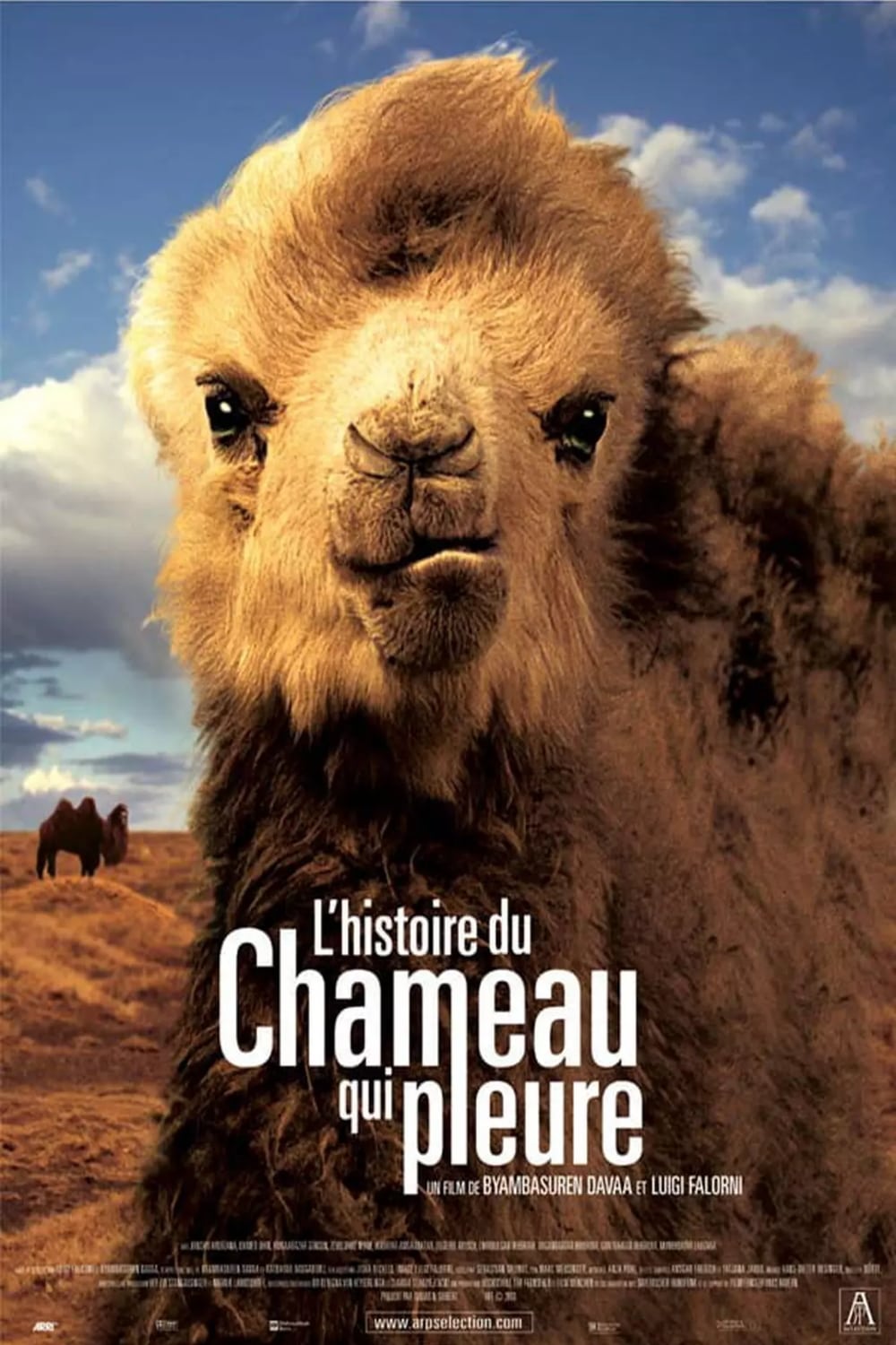 L'Histoire du chameau qui pleure Film Streaming