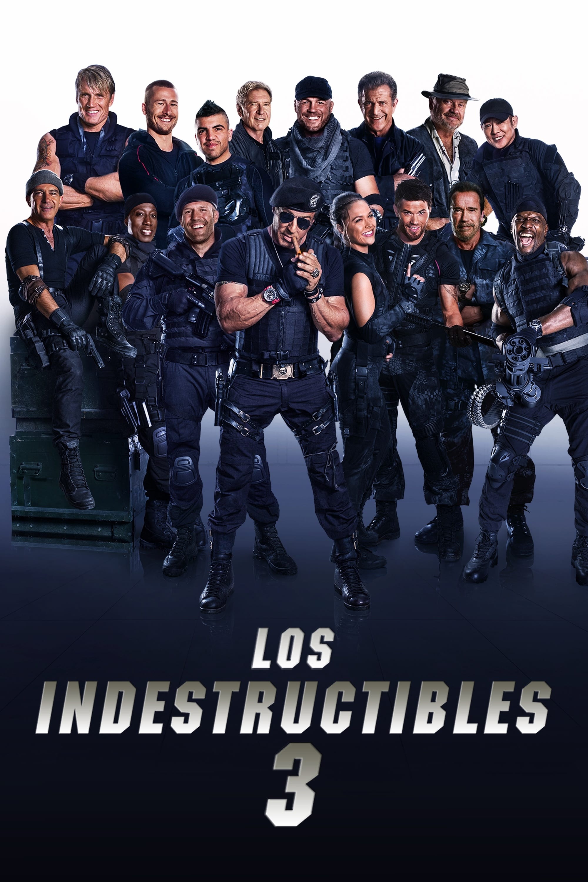 The Expendables 3 (2014) [Open Matte] WEB-DL 1080p Latino
