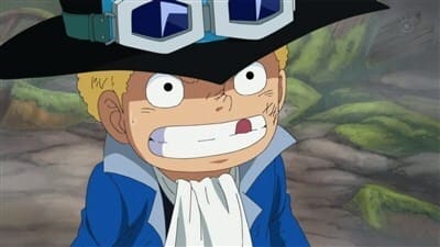 Ver One Piece Temporada 1 Capitulo 500 Sub Español Latino