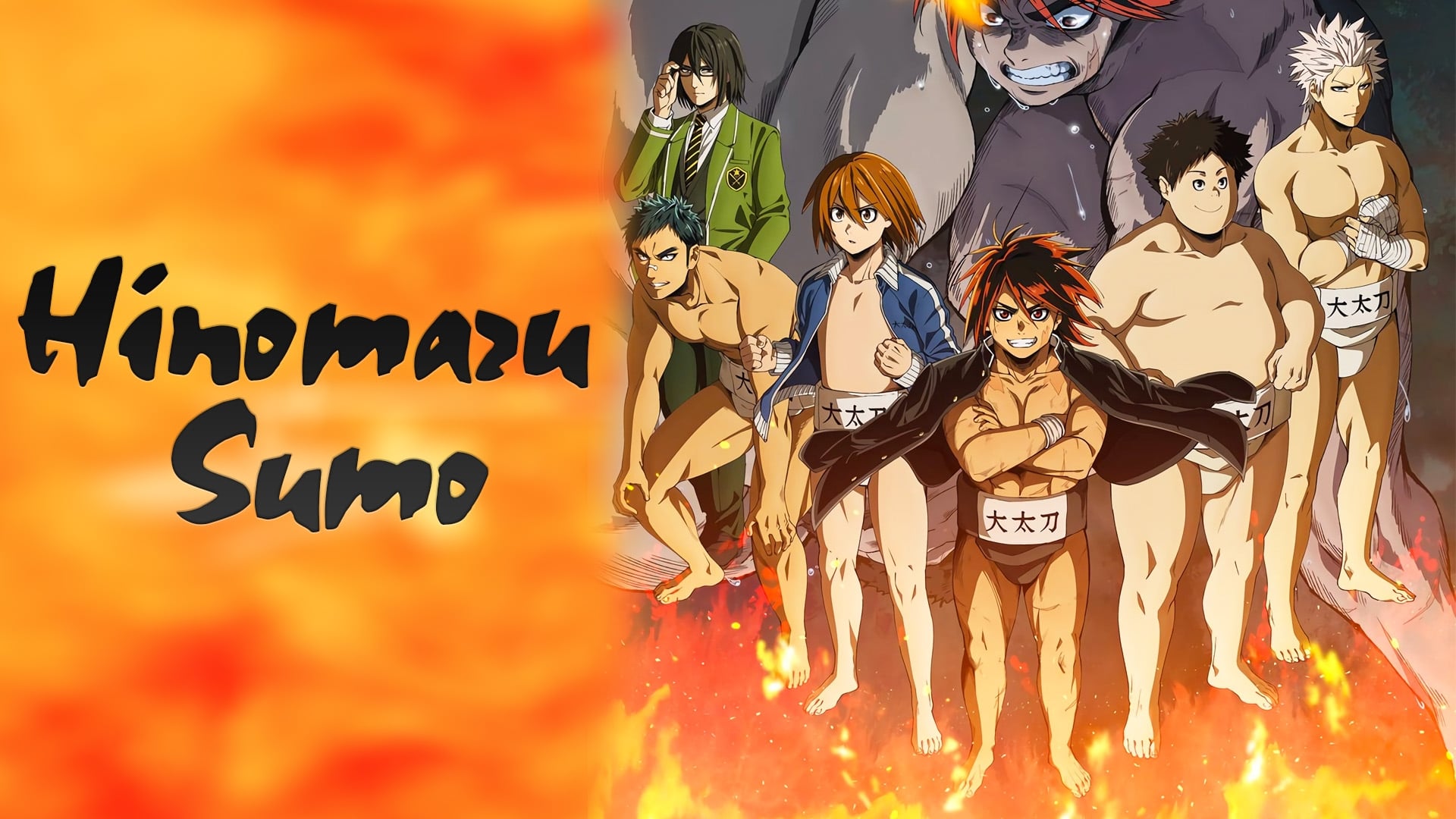 Hinomaru Sumo  Anime Reviews