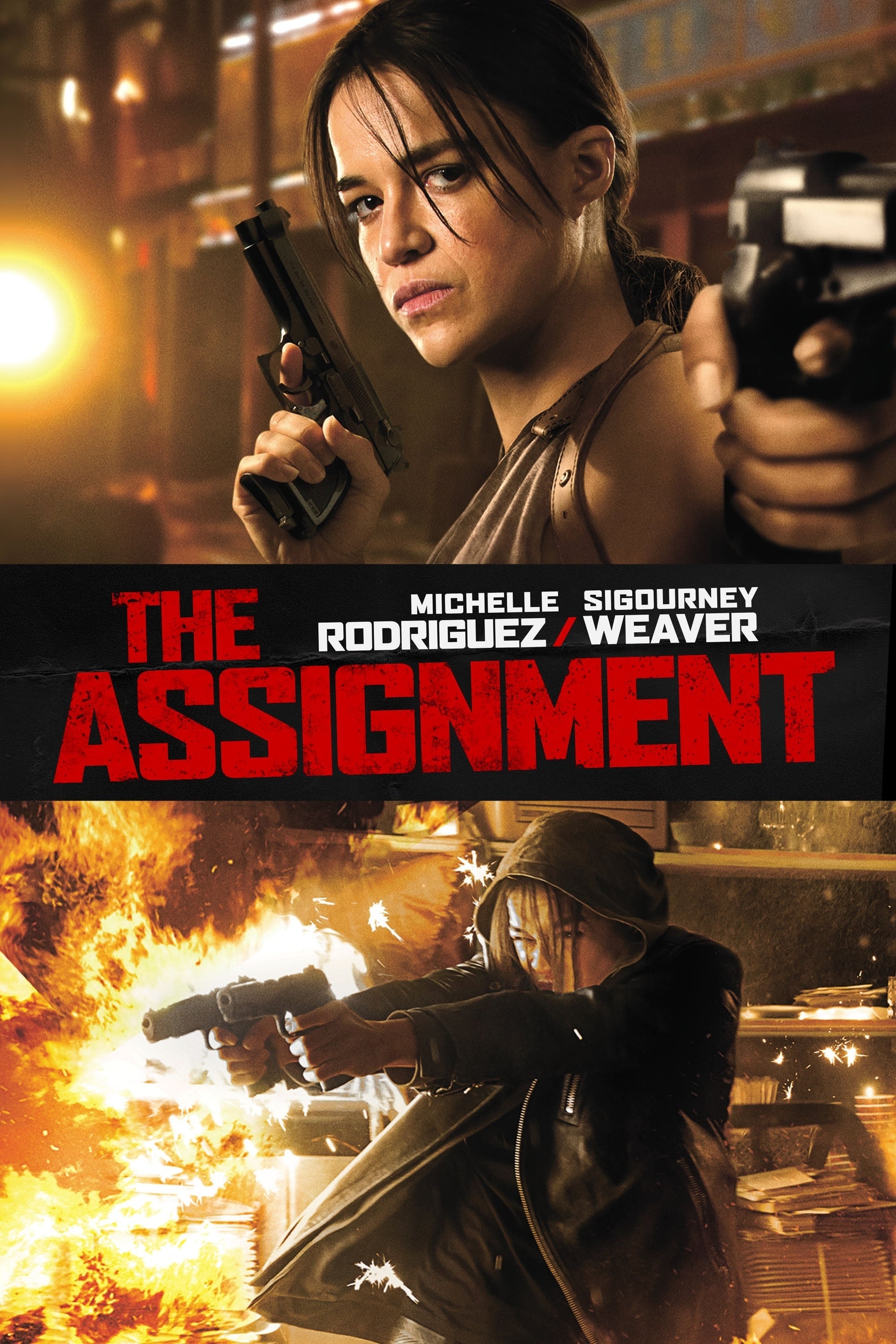 the assignment audio book