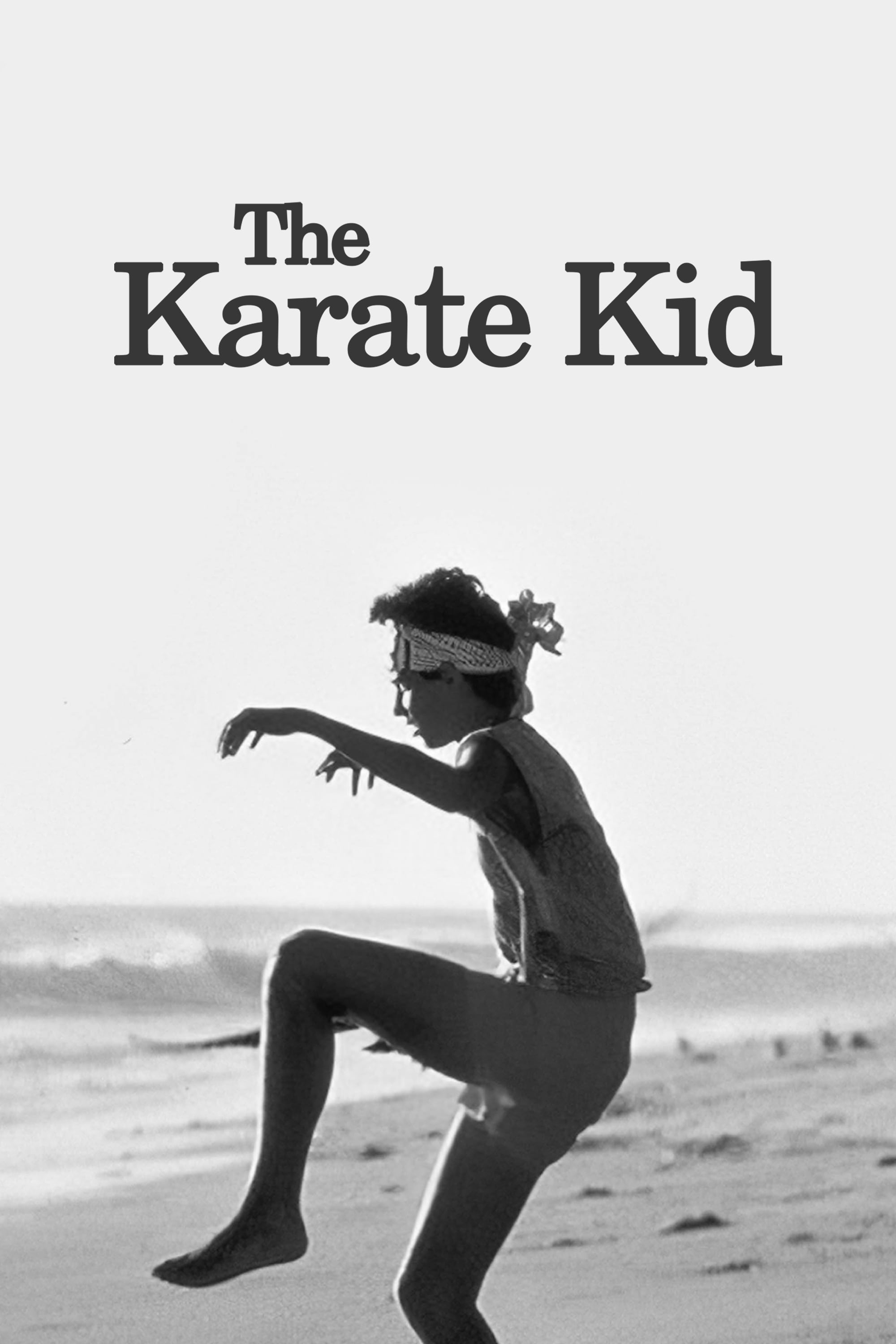 The Karate Kid (1984) REMUX 4K HDR Latino – CMHDD