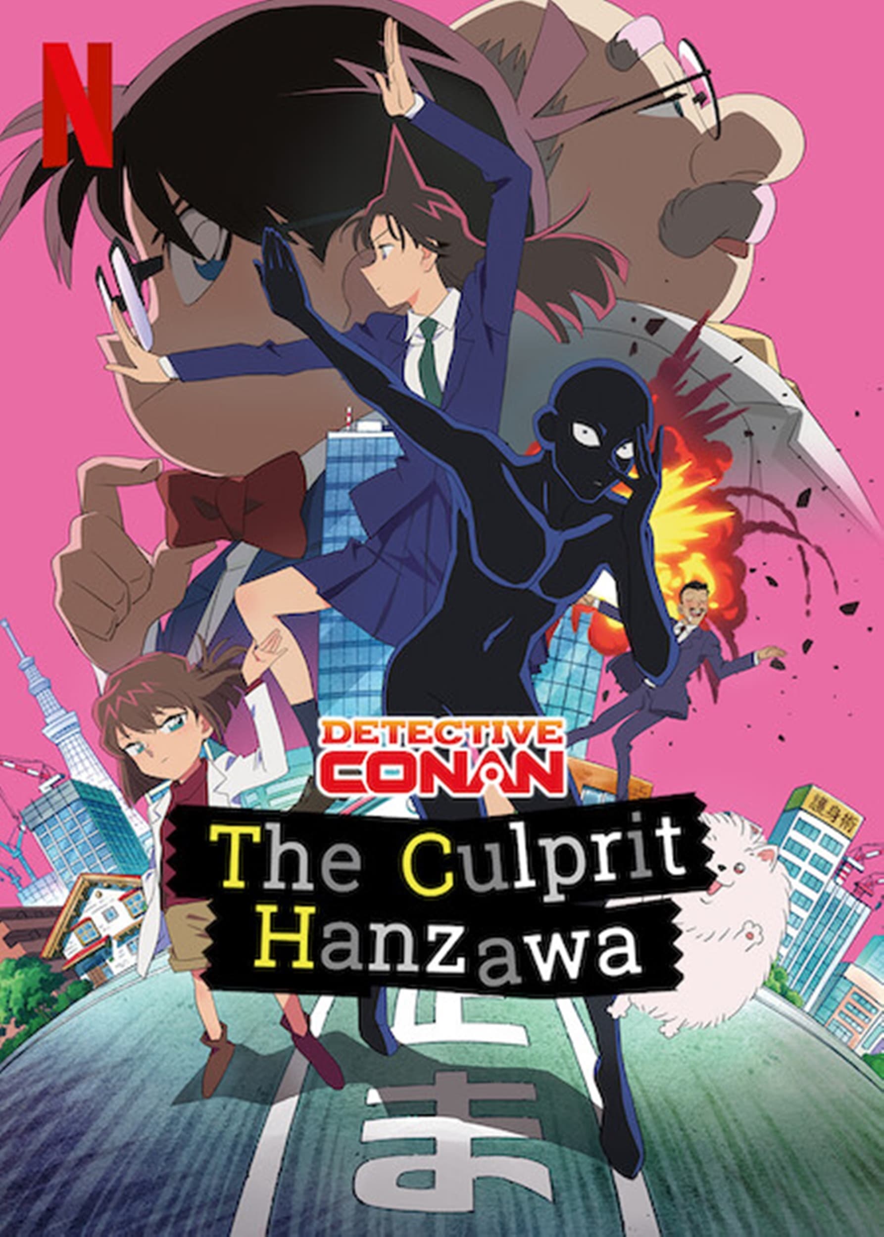 Case Closed: The Culprit Hanzawa ()