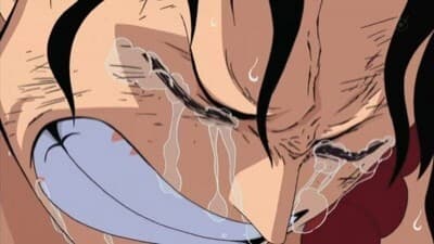 Ver One Piece Temporada 1 Capitulo 477 Sub Español Latino
