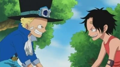 Ver One Piece Temporada 1 Capitulo 494 Sub Español Latino