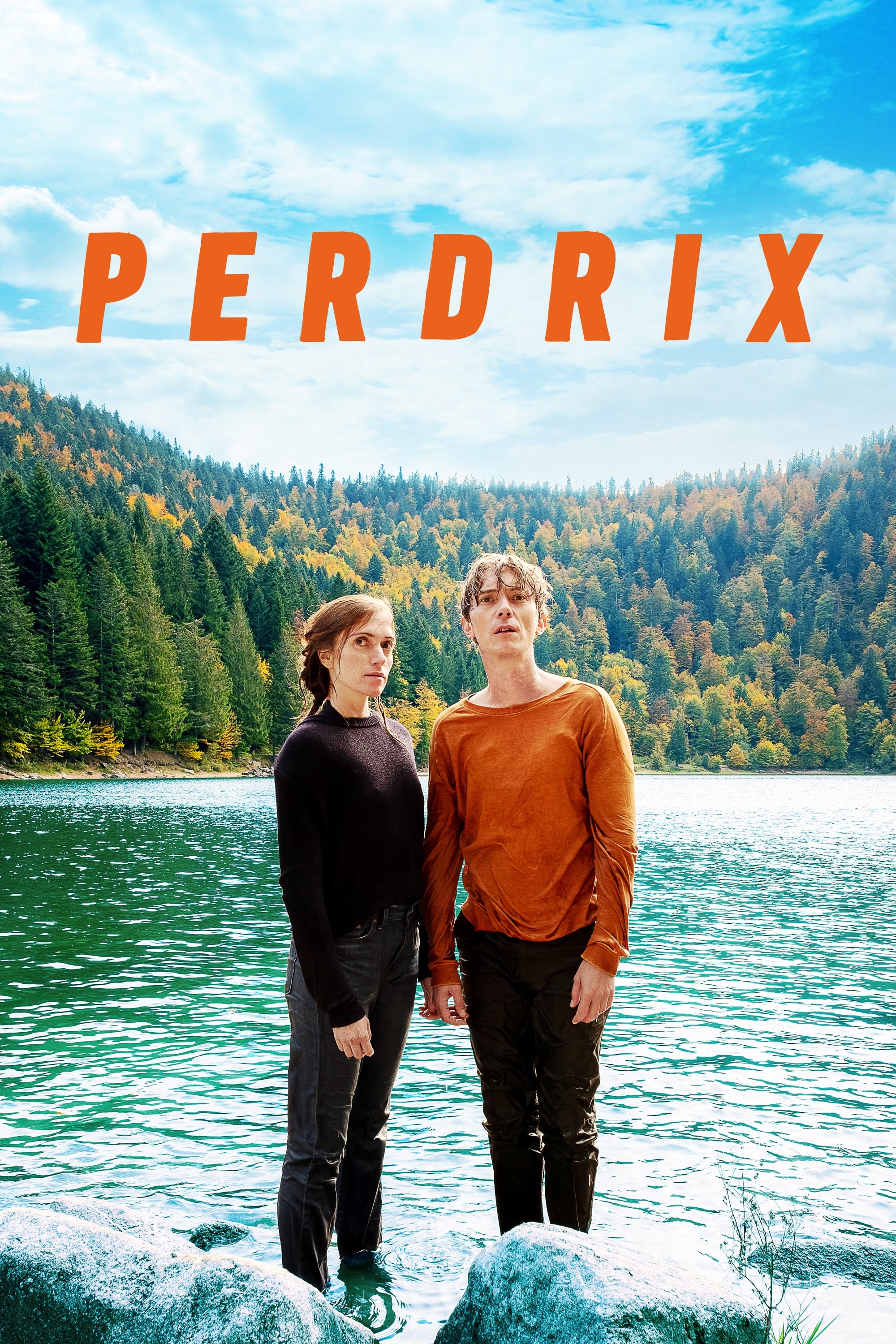 Perdrix - The Bare Necessity - 2019