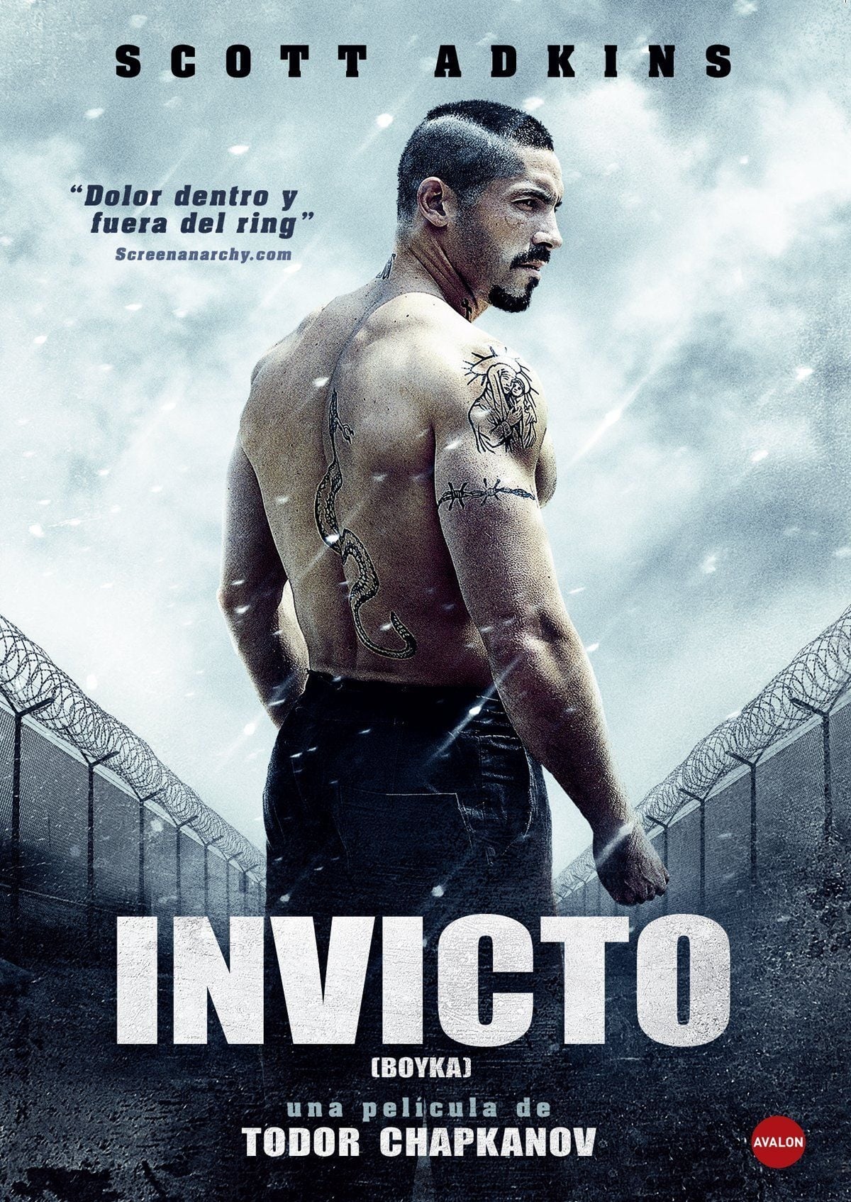 ver Boyka: Invicto IV pelicula completa en español latino