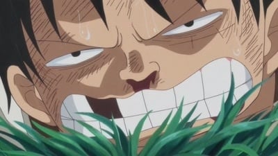 Ver One Piece Temporada 1 Capitulo 811 Sub Español Latino