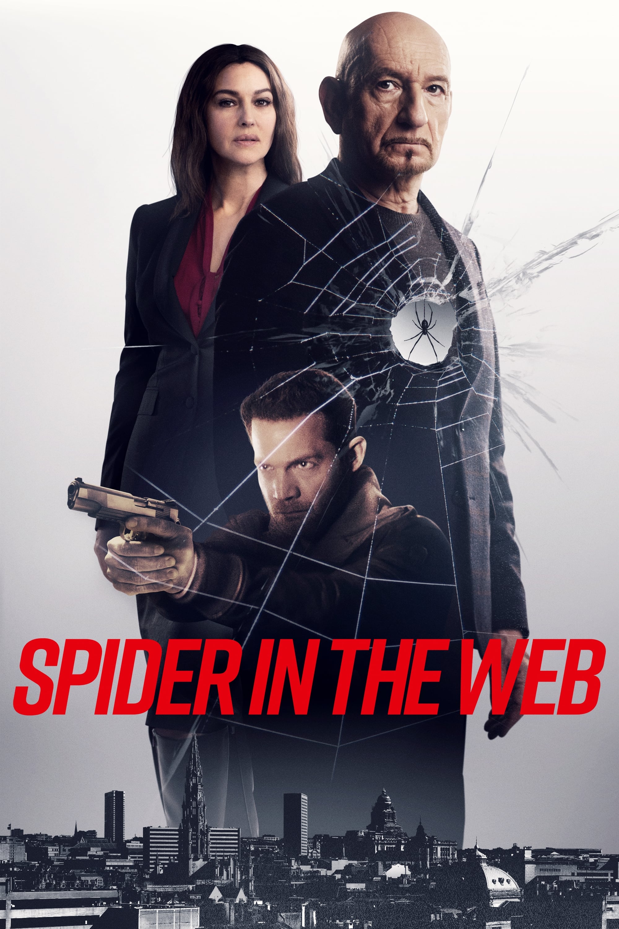 Spider In The Web - 2020