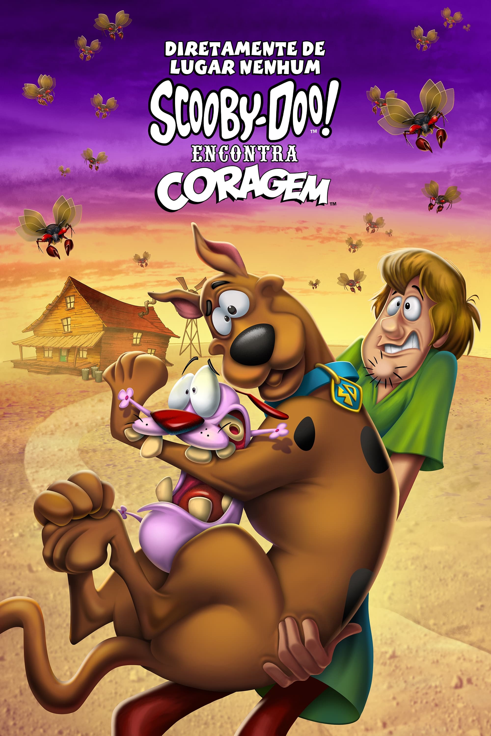 Diretamente de Lugar Nenhum: Scooby-Doo Encontra Coragem Dublado Online
