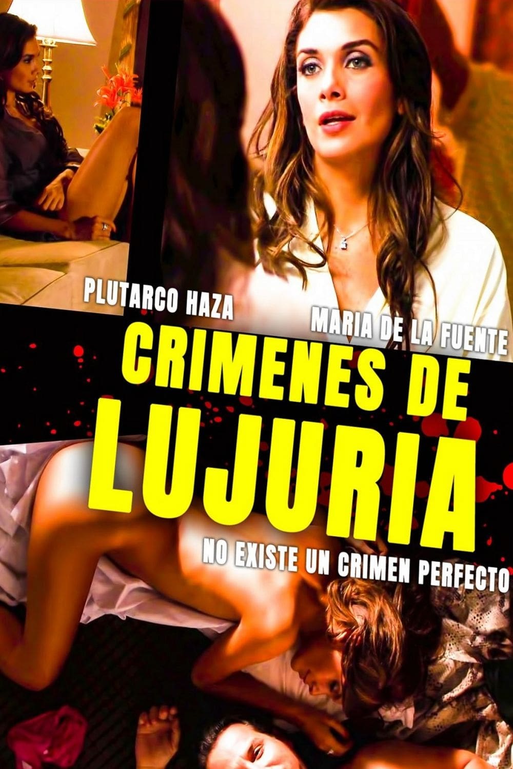 Crimenes De Lujuria (2011) REMUX 1080p Latino
