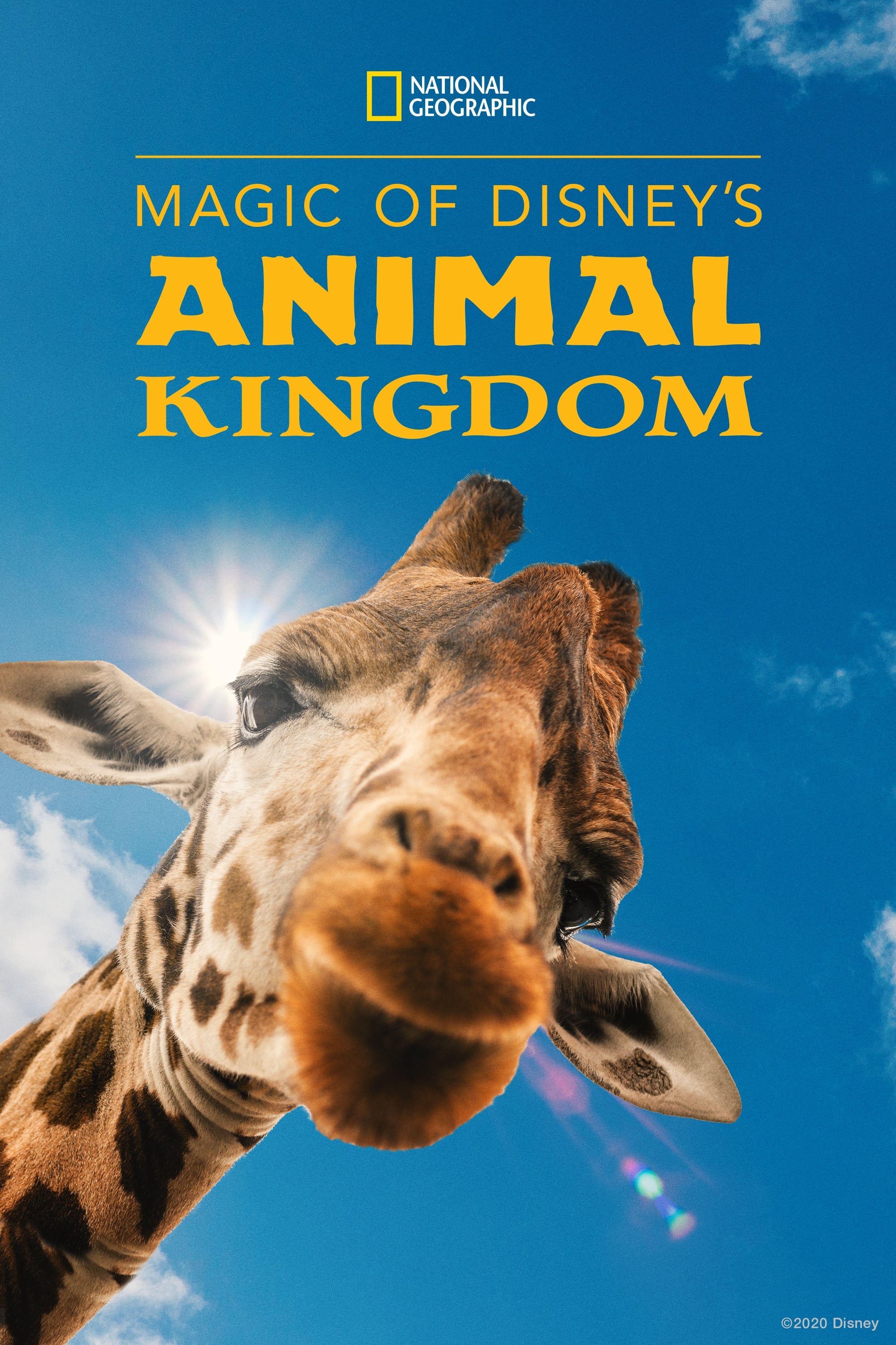 Magic of Disney's Animal Kingdom (TV Series 2020- ) - Posters — The Movie  Database (TMDB)