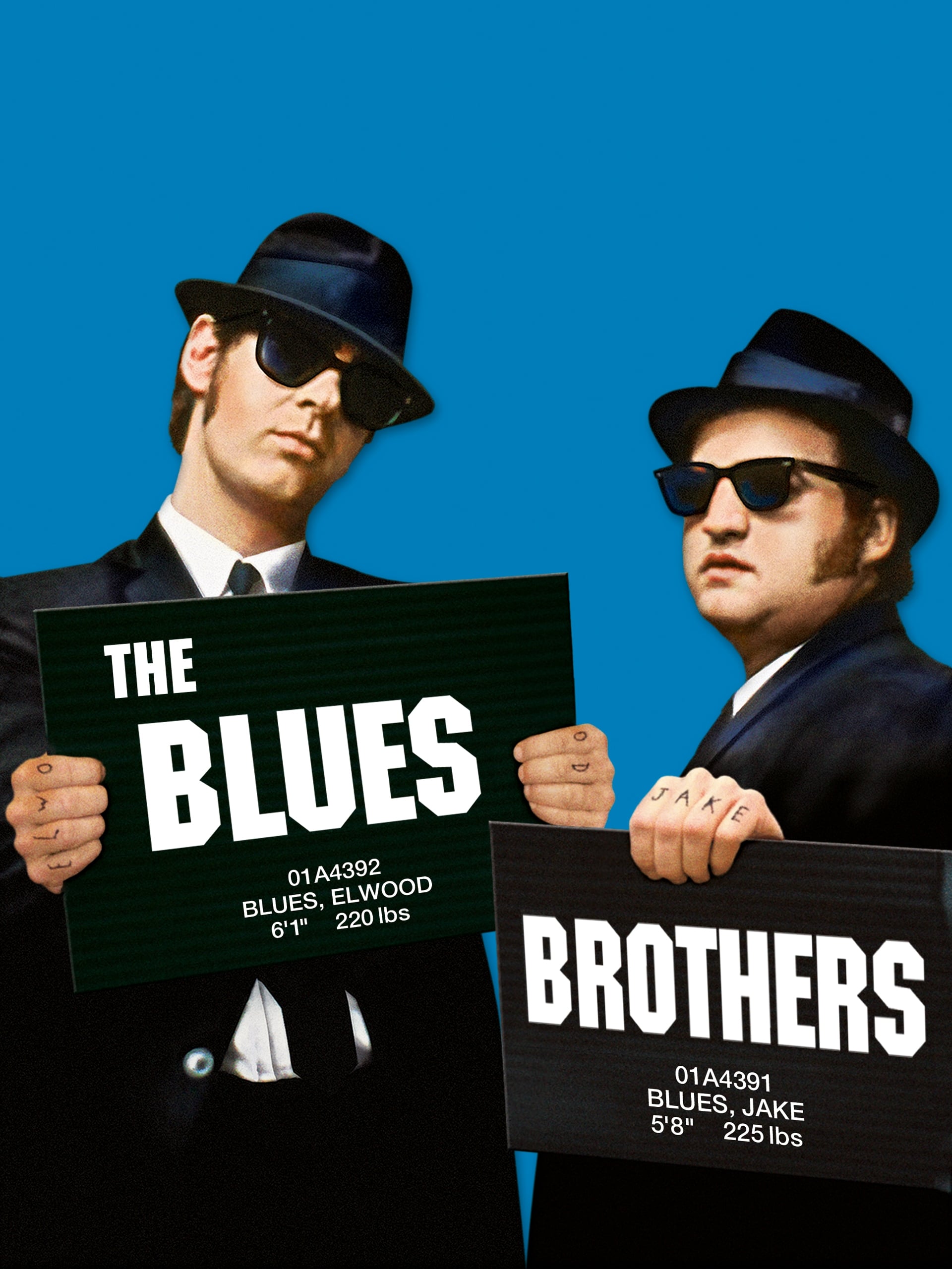 The Blues Brothers 1980 Posters — The Movie Database Tmdb