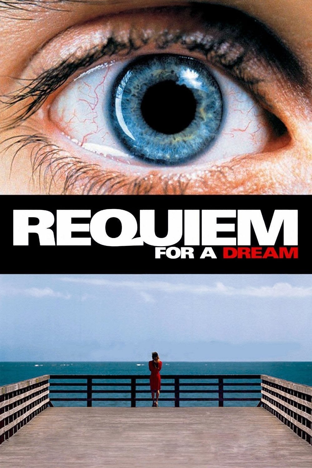 Requiem For A Dream (2000) REMUX 1080p Latino – CMHDD
