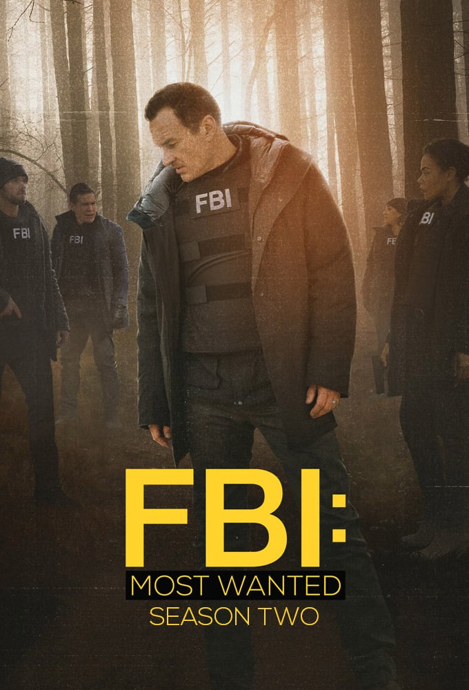 FBI: Most Wanted Saison 2 en Streaming