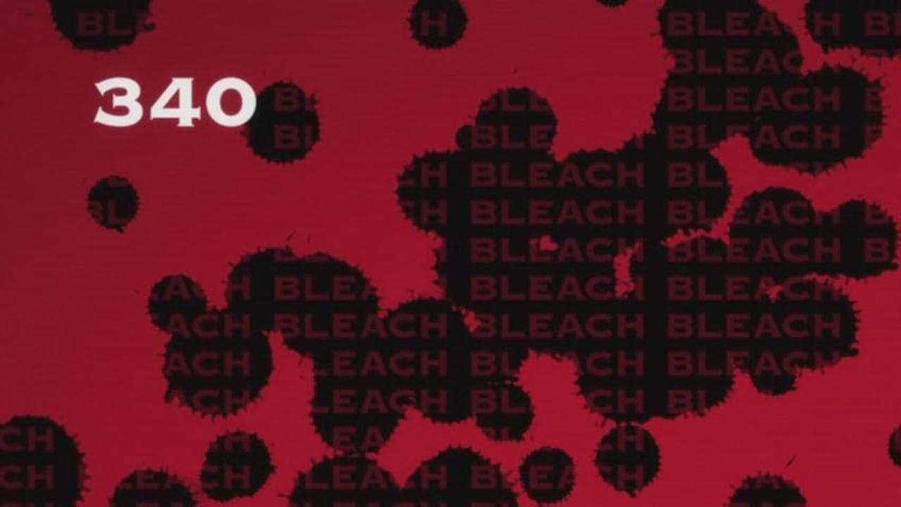Ver Bleach Temporada 1 Capitulo 340 Sub Español Latino