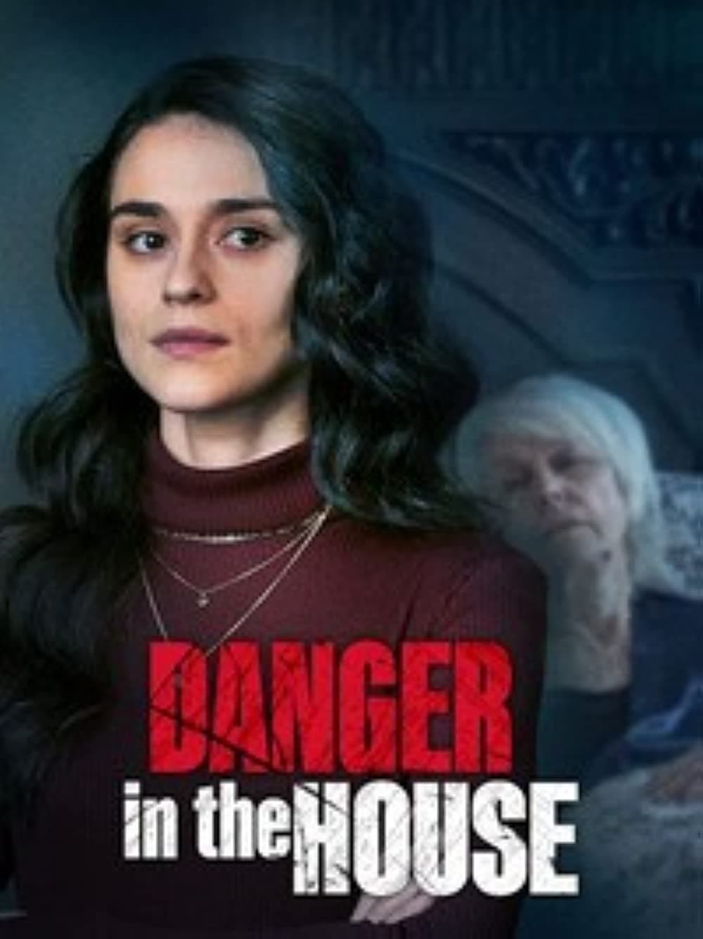 Danger in the House (WEBRIP LD) 2022