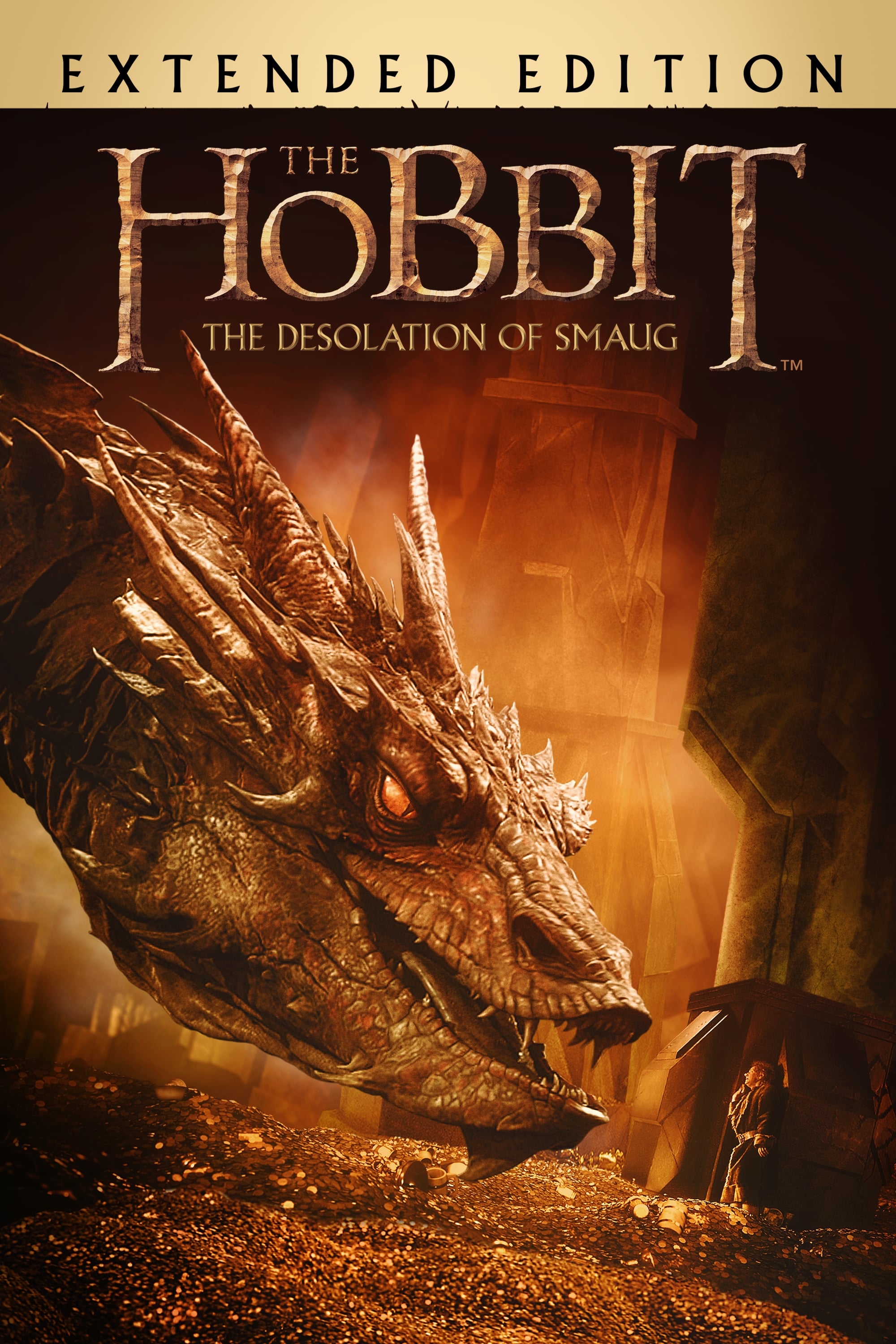 The Hobbit The Desolation of Smaug (2013) [EXTENDED] Full HD 1080p Latino – CMHDD