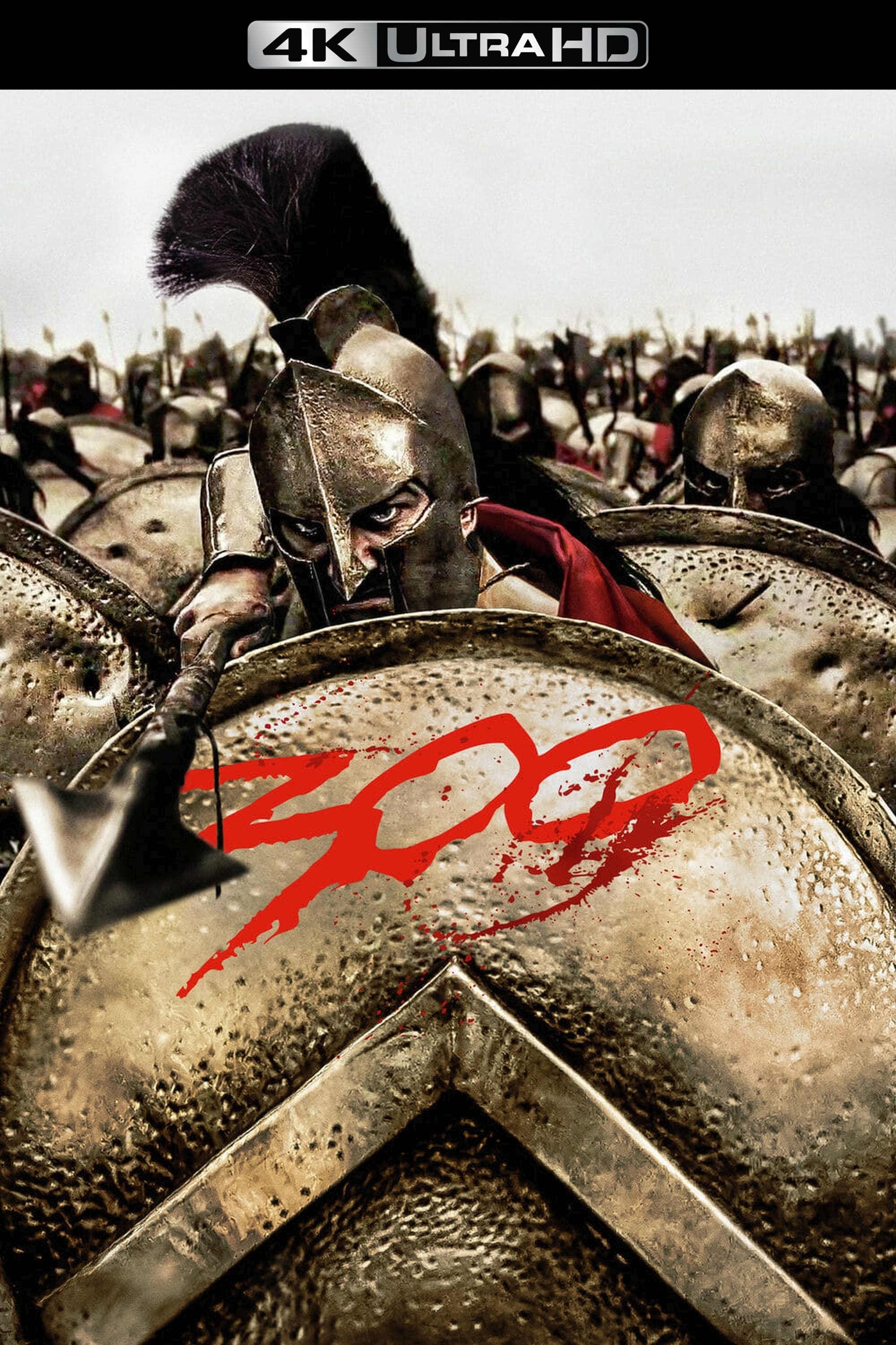 film review 300 words