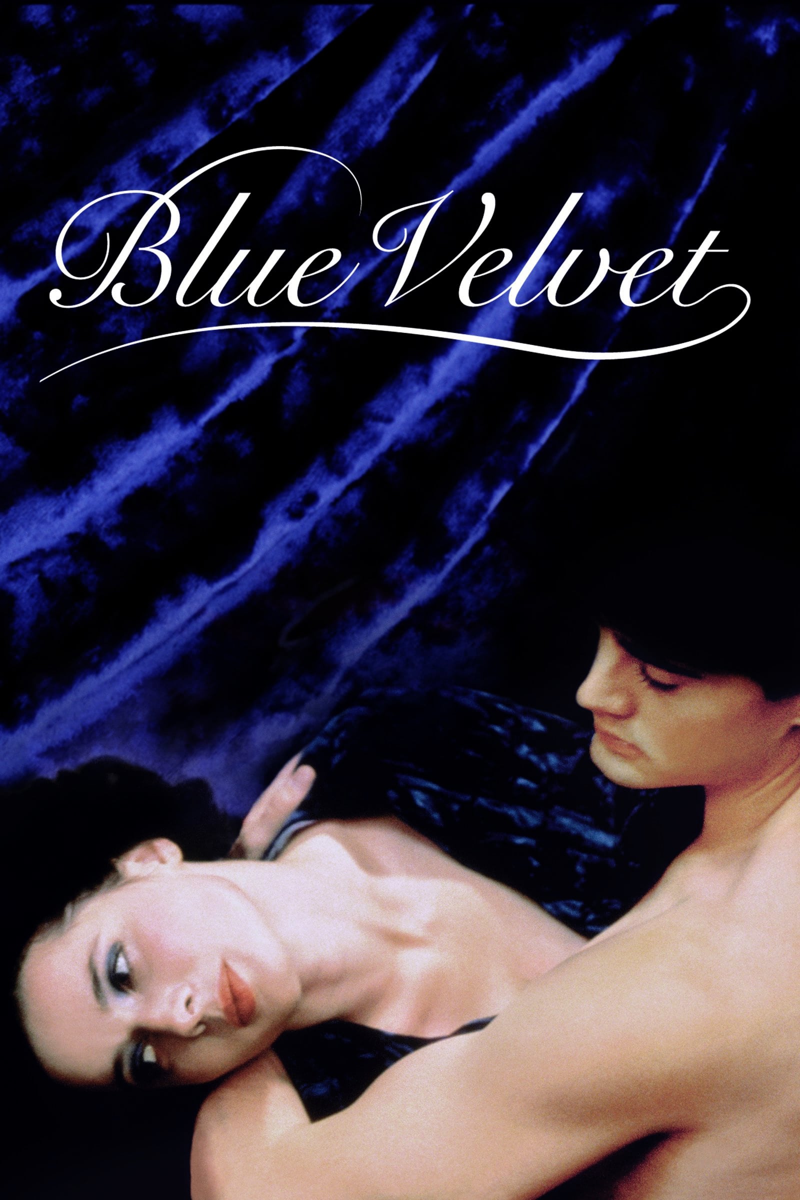 Blue Velvet Film Streaming