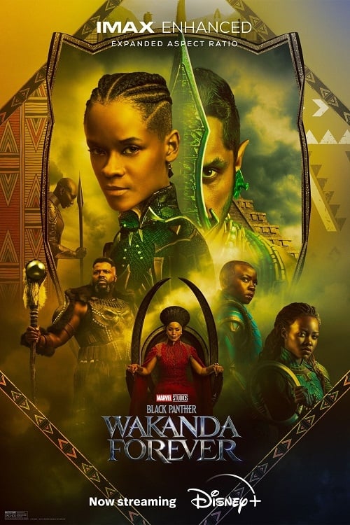 D+ - Black Panther 2 Wakanda Forever (2022)