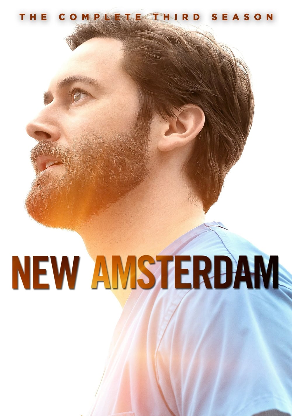 New Amsterdam Saison 3 en Streaming