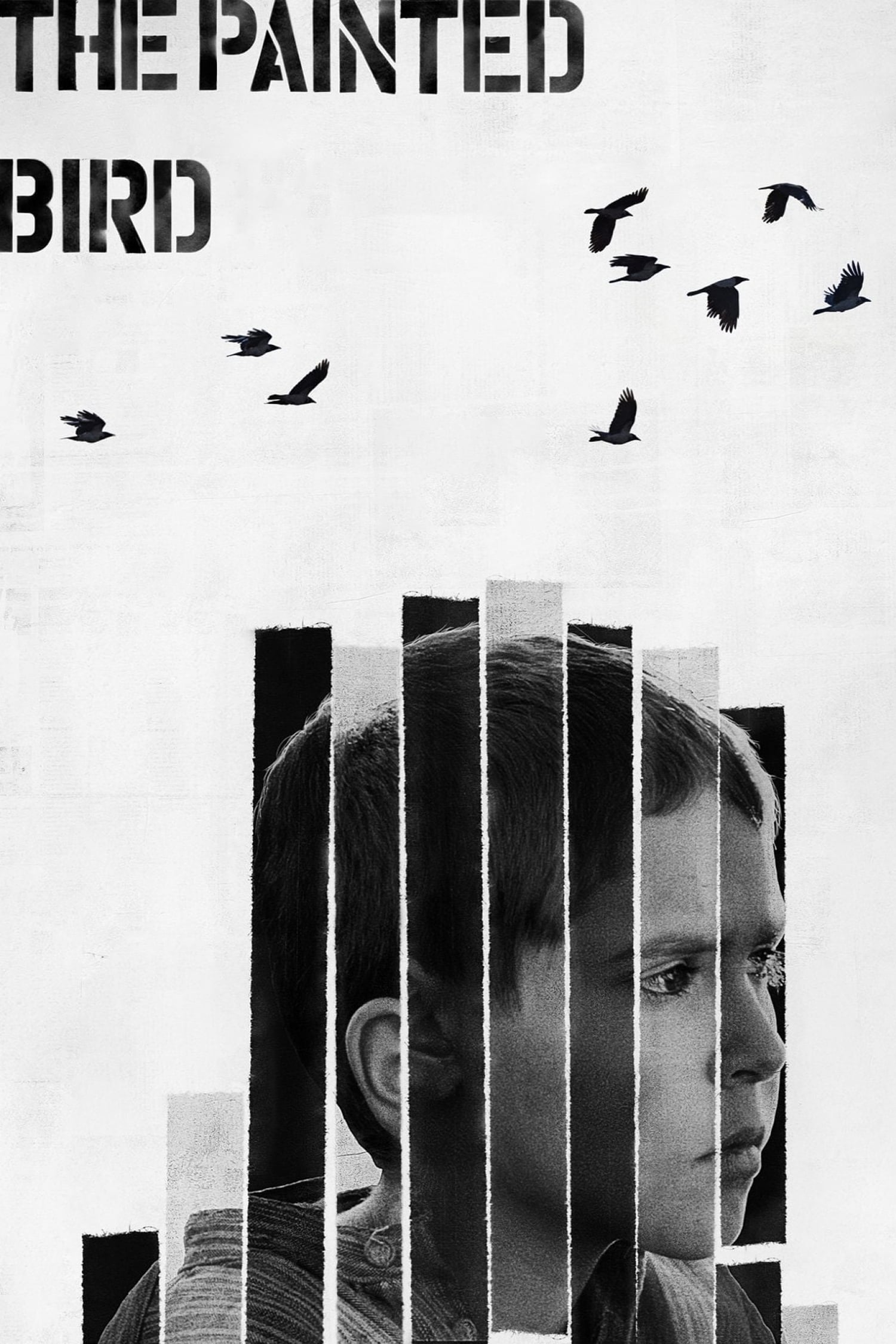 Art Ps D 2019 War Film The Pd Bird M Art ...