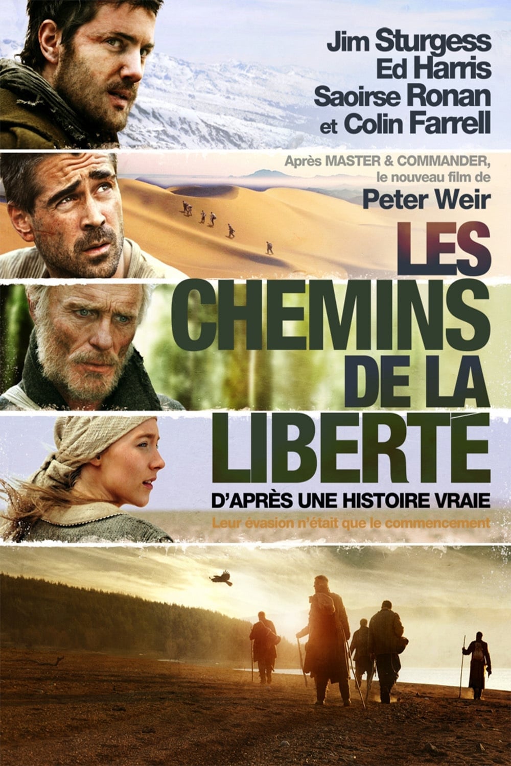 Affiche du film "les chemins de la liberté"