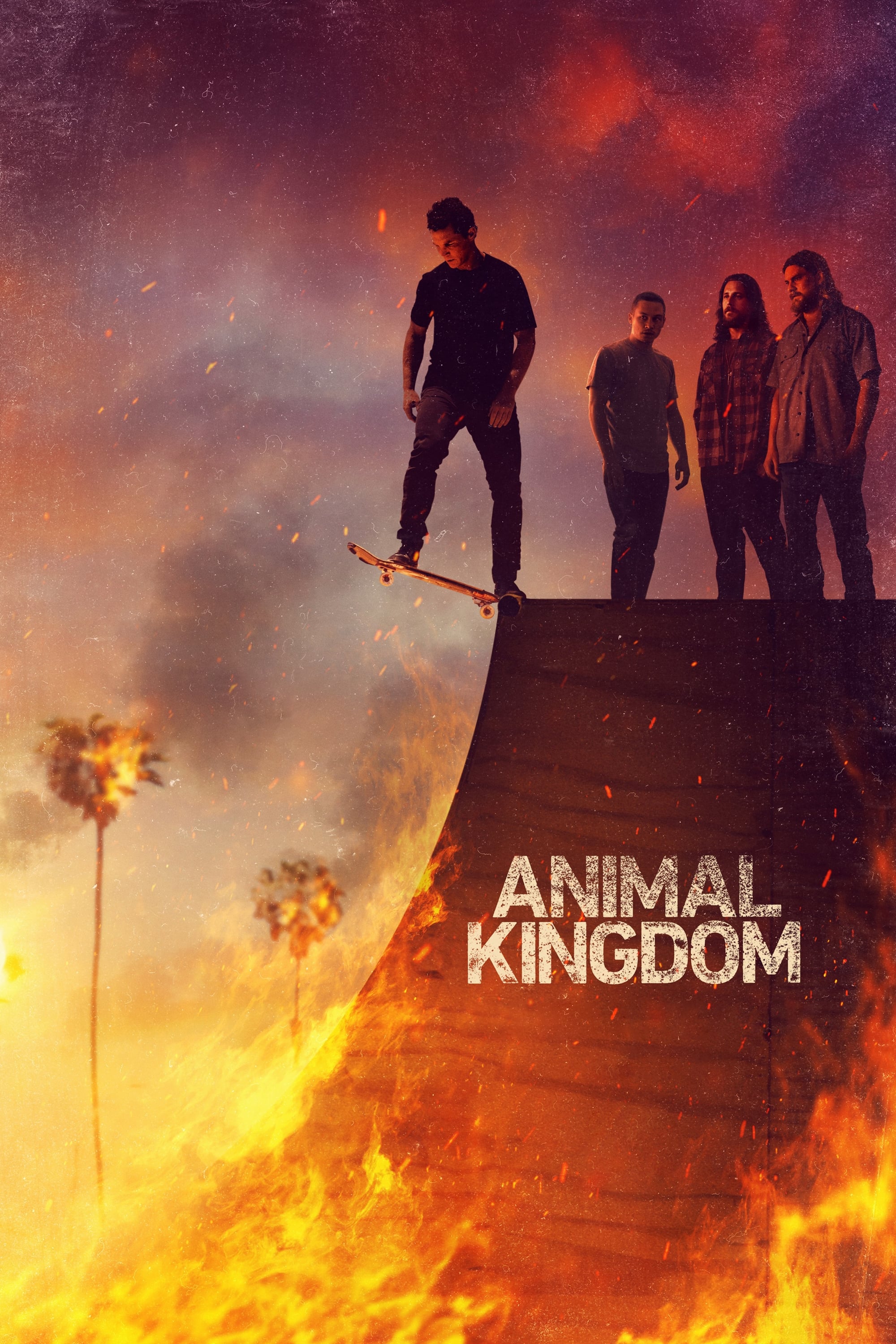 Animal Kingdom (TV Series 2016- ) - Posters — The Movie Database (TMDB)