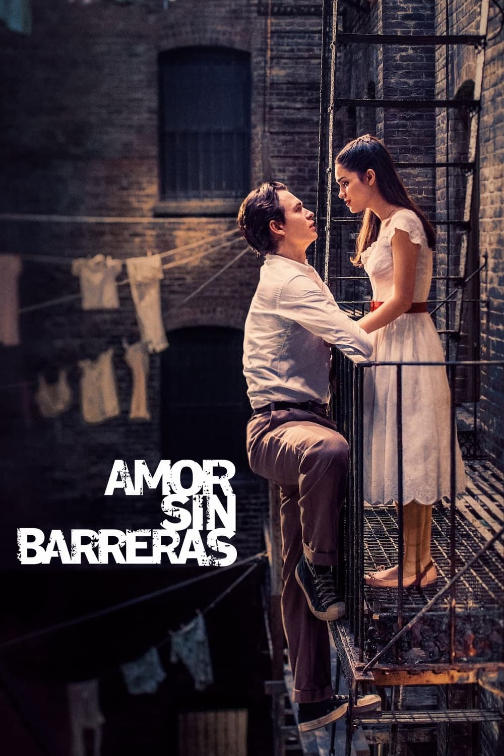 Amor Sin Barreras (2021) HD 1080p Latino