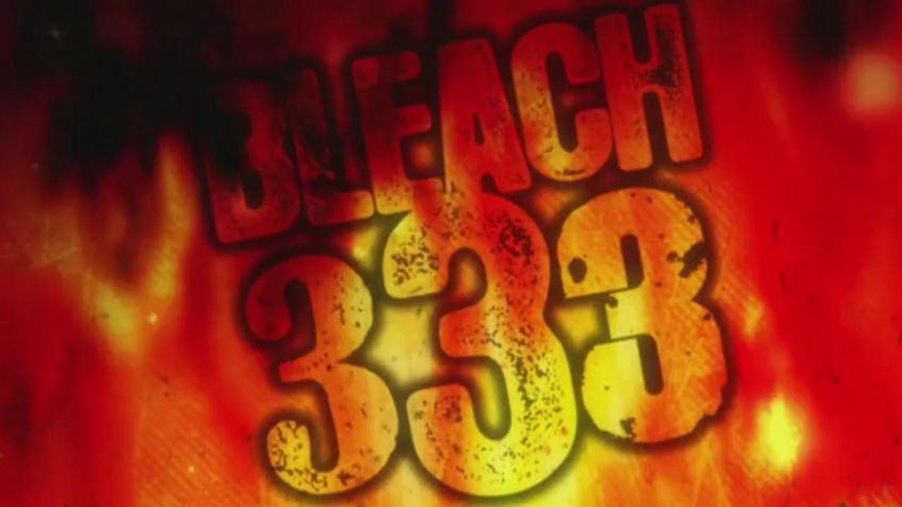 Ver Bleach Temporada 1 Capitulo 333 Sub Español Latino